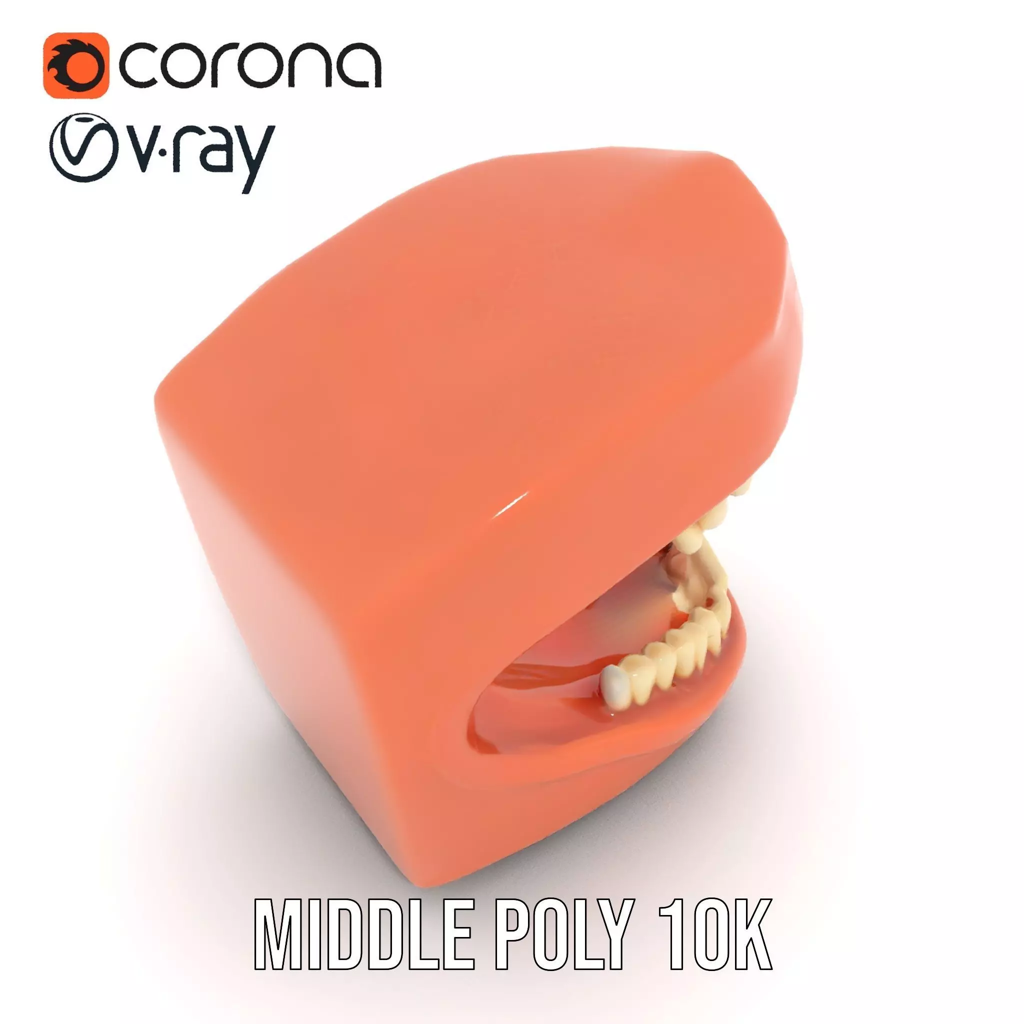 Realistic Dentist Teeth model pack Low-poly 3D model_5