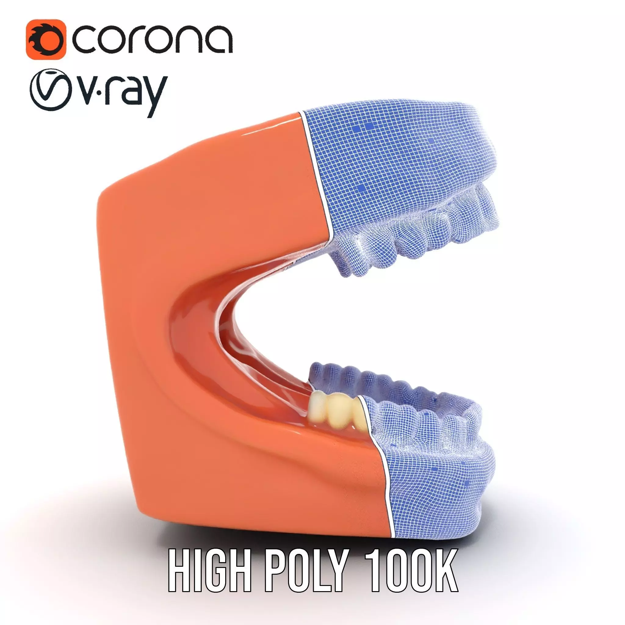 Realistic Dentist Teeth model pack Low-poly 3D model_33