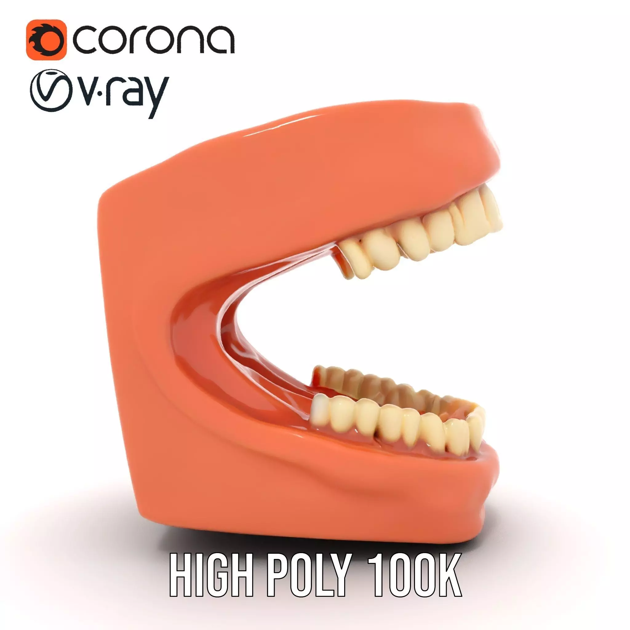 Realistic Dentist Teeth model pack Low-poly 3D model_24