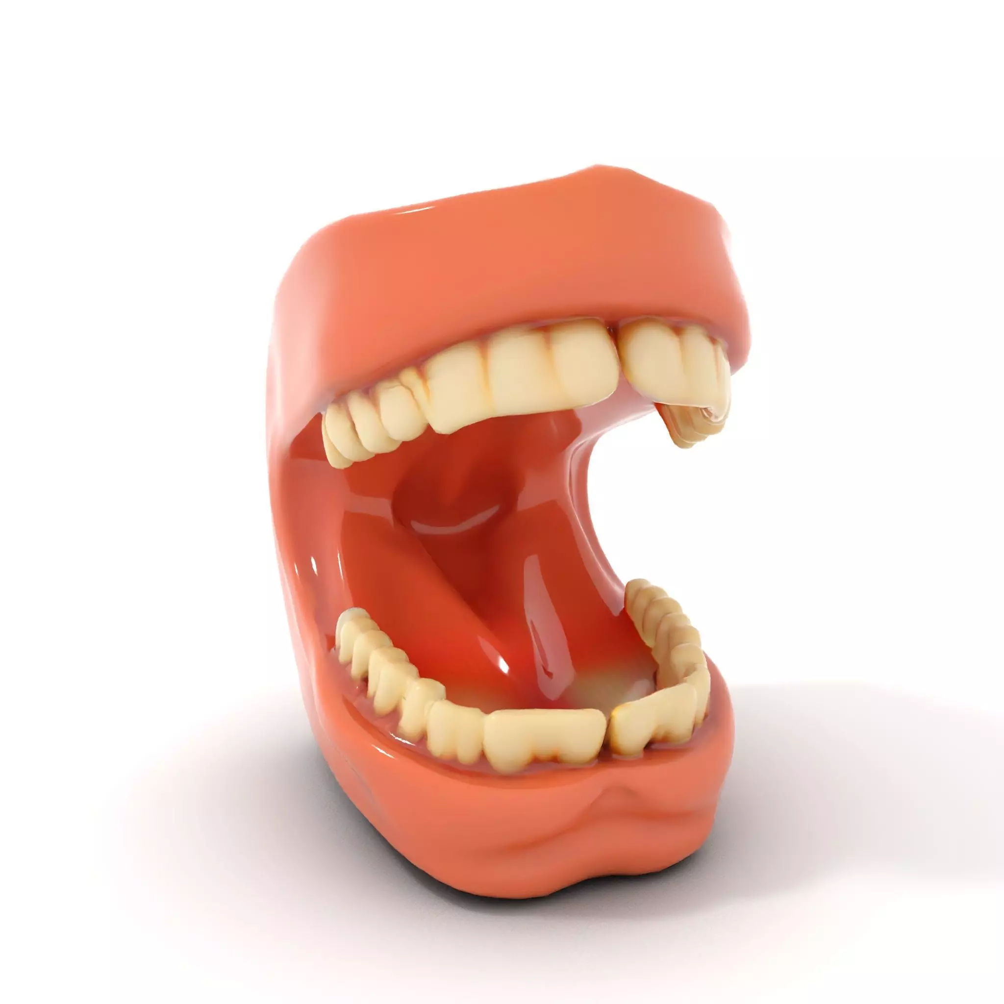 Realistic Dentist Teeth model pack Low-poly 3D model_6