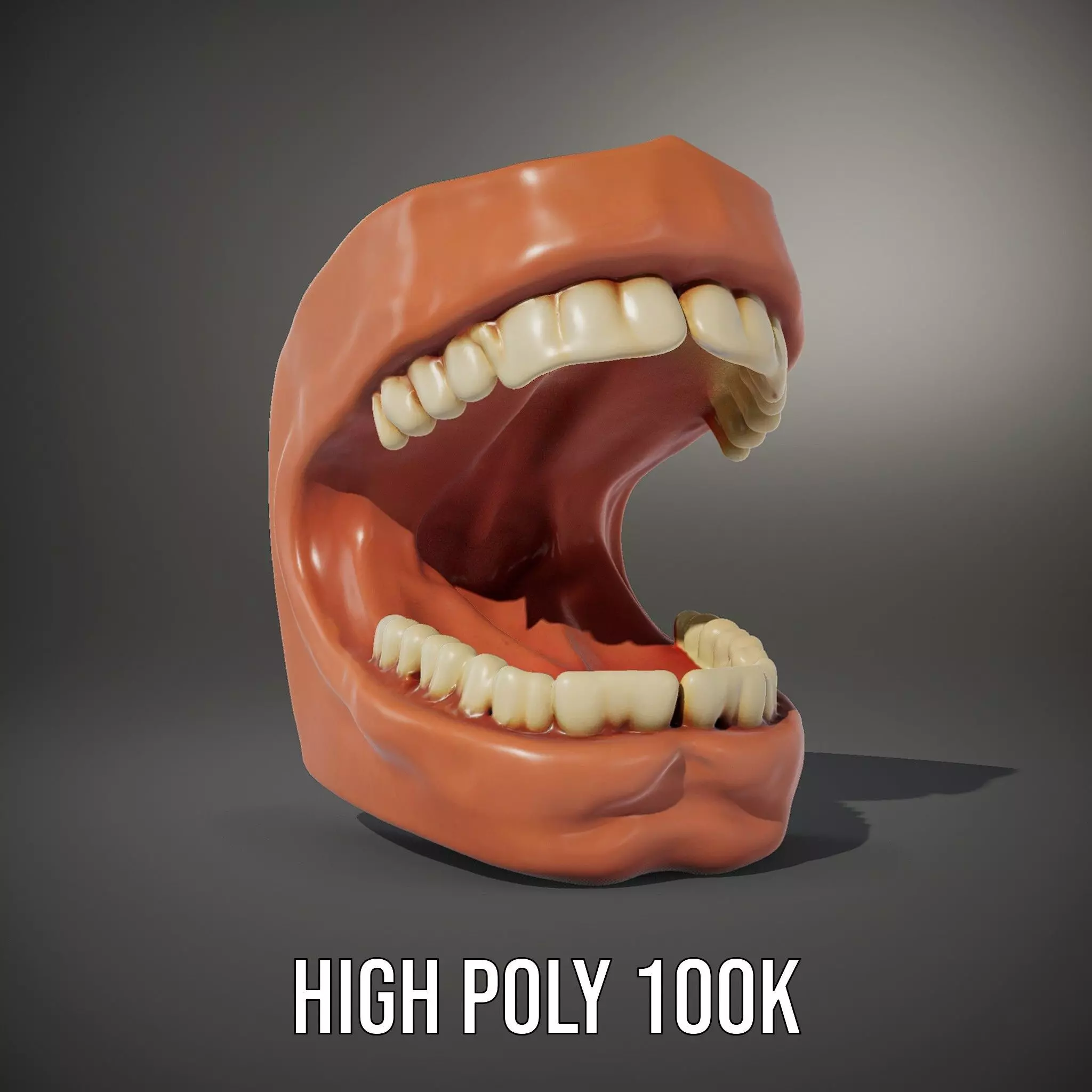 Realistic Dentist Teeth model pack Low-poly 3D model_10