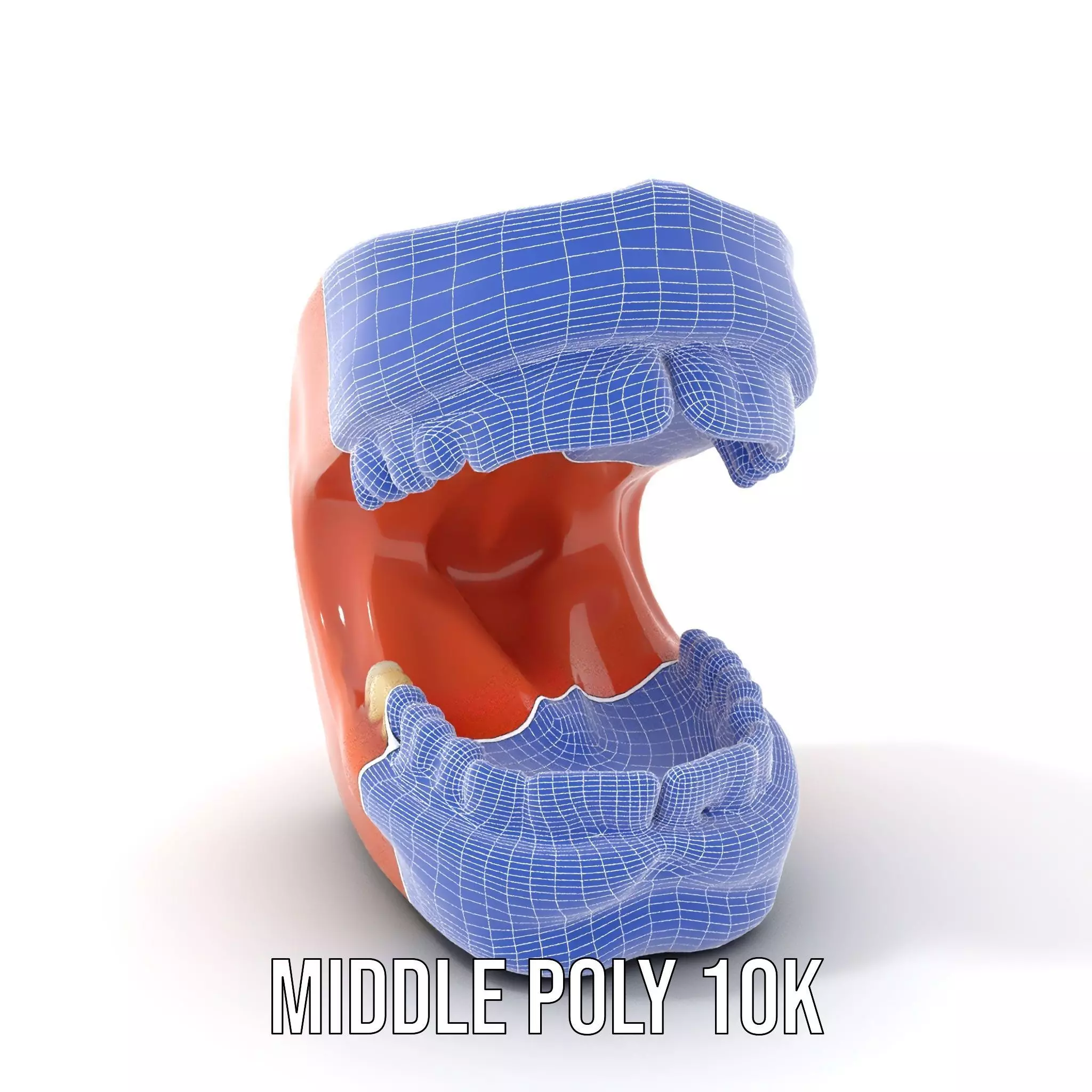 Realistic Dentist Teeth model pack Low-poly 3D model_11