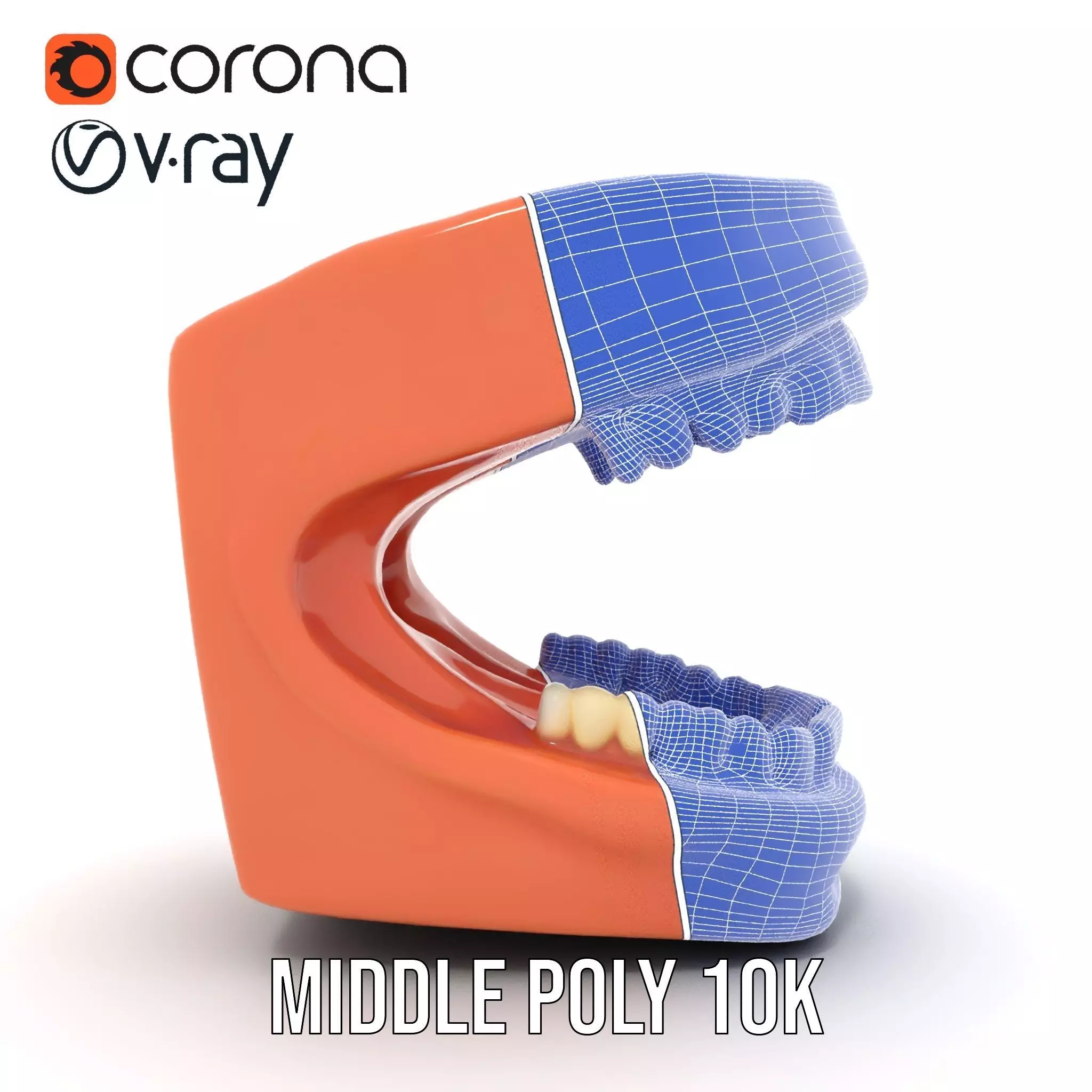 Realistic Dentist Teeth model pack Low-poly 3D model_30