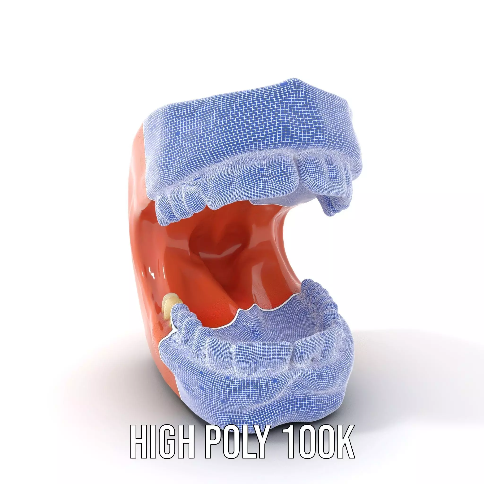 Realistic Dentist Teeth model pack Low-poly 3D model_4