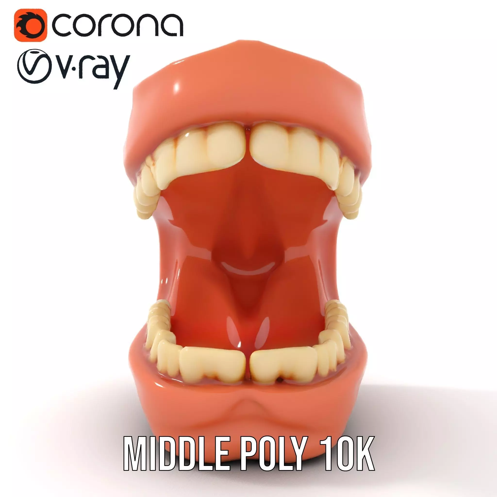 Realistic Dentist Teeth model pack Low-poly 3D model_13