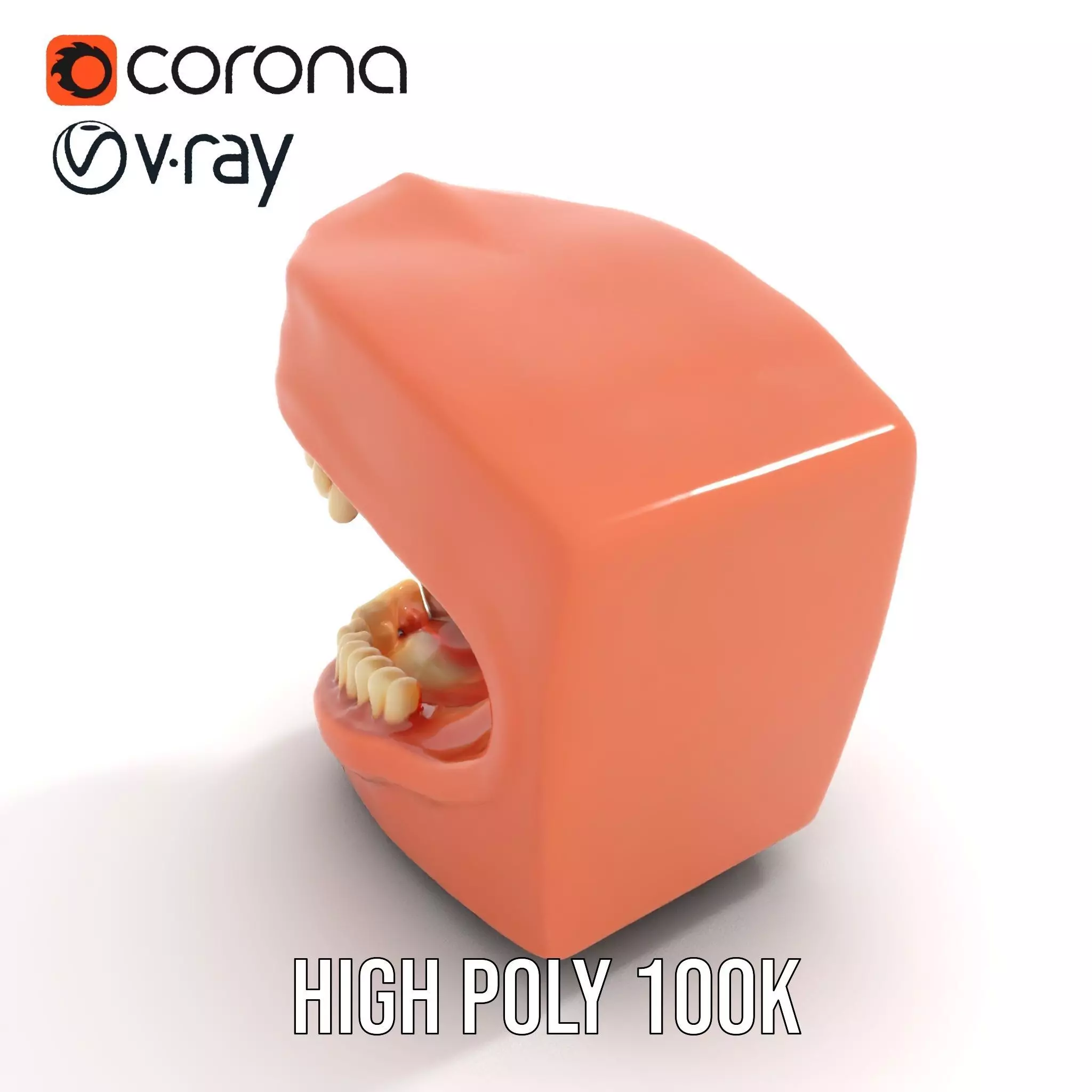 Realistic Dentist Teeth model pack Low-poly 3D model_15