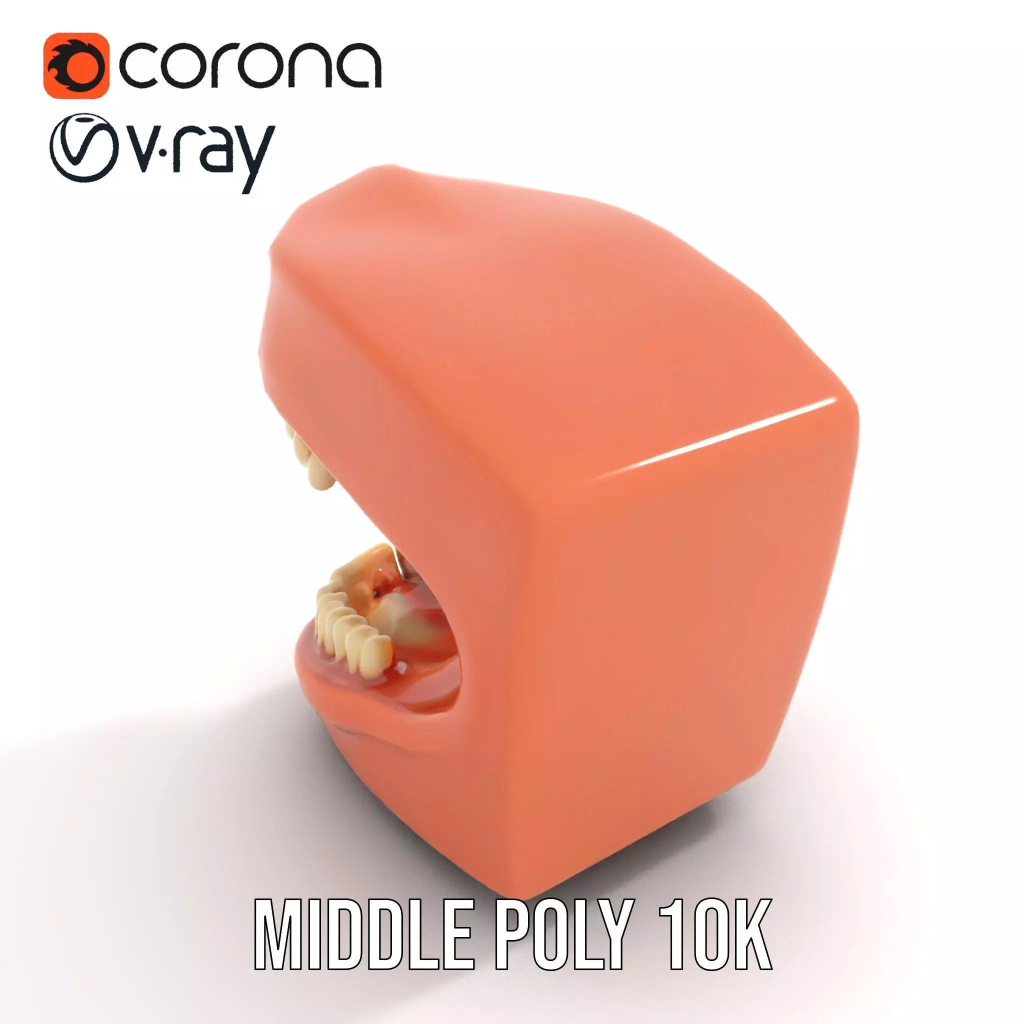 Realistic Dentist Teeth model pack Low-poly 3D model_19