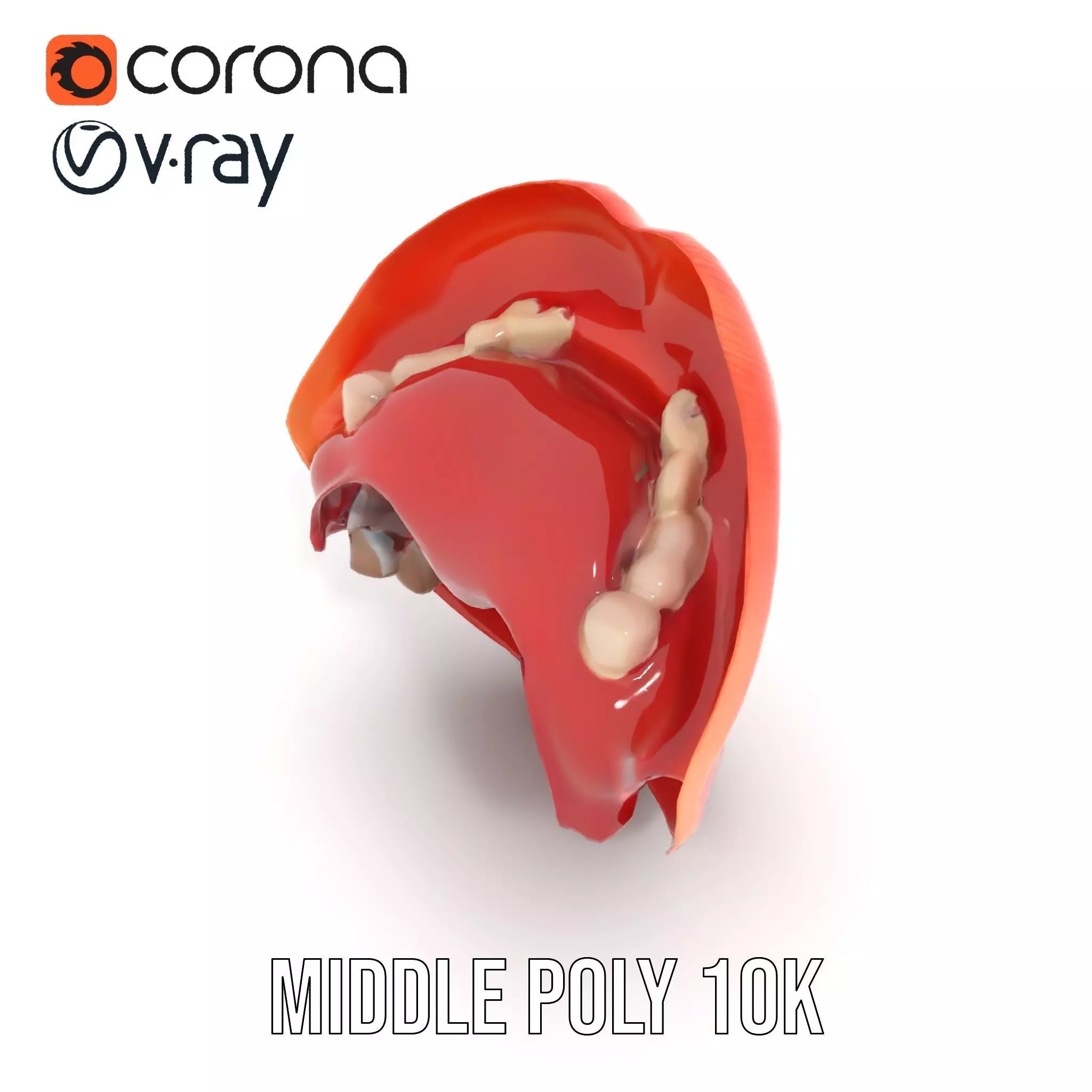 Realistic Human Mouth model pack Low-poly 3D model_11