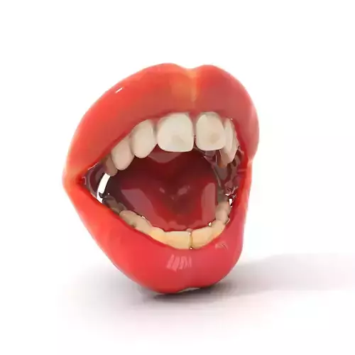 Realistic Human Mouth model pack Low-poly 3D model