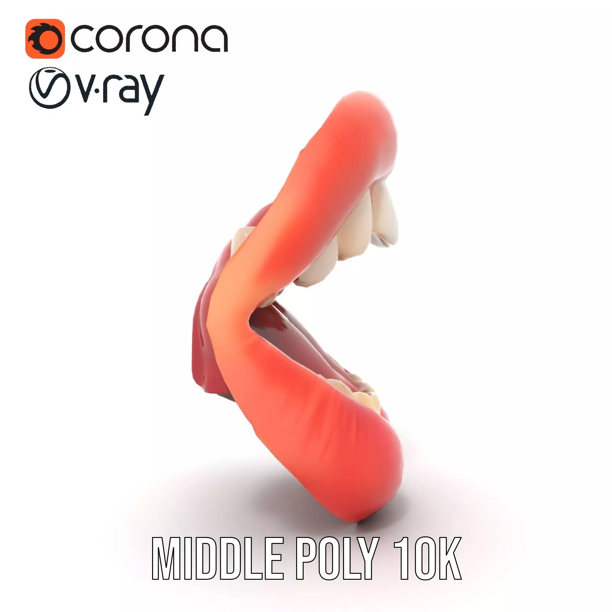 Realistic Human Mouth model pack Low-poly 3D model_13