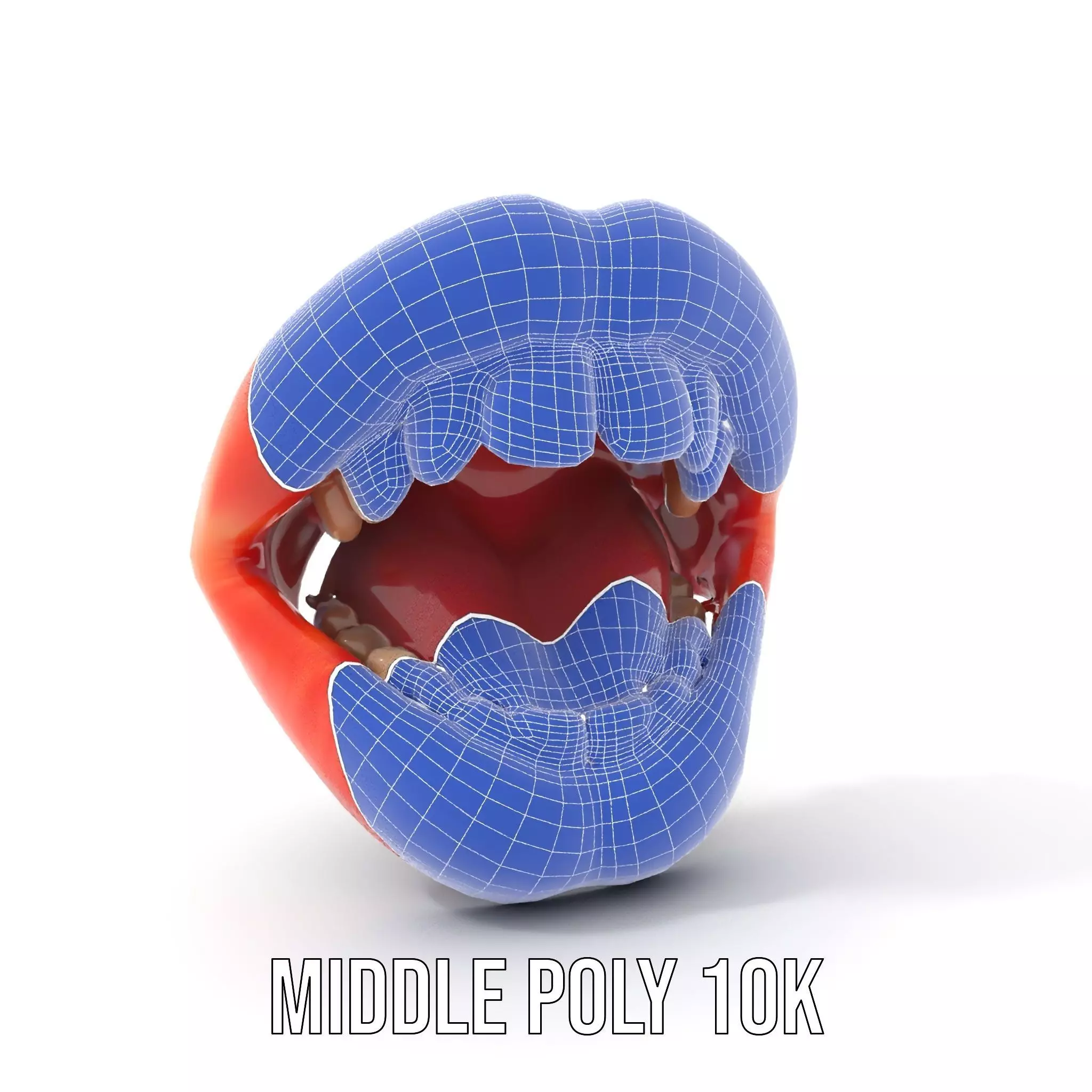 Realistic Human Mouth model pack Low-poly 3D model_15