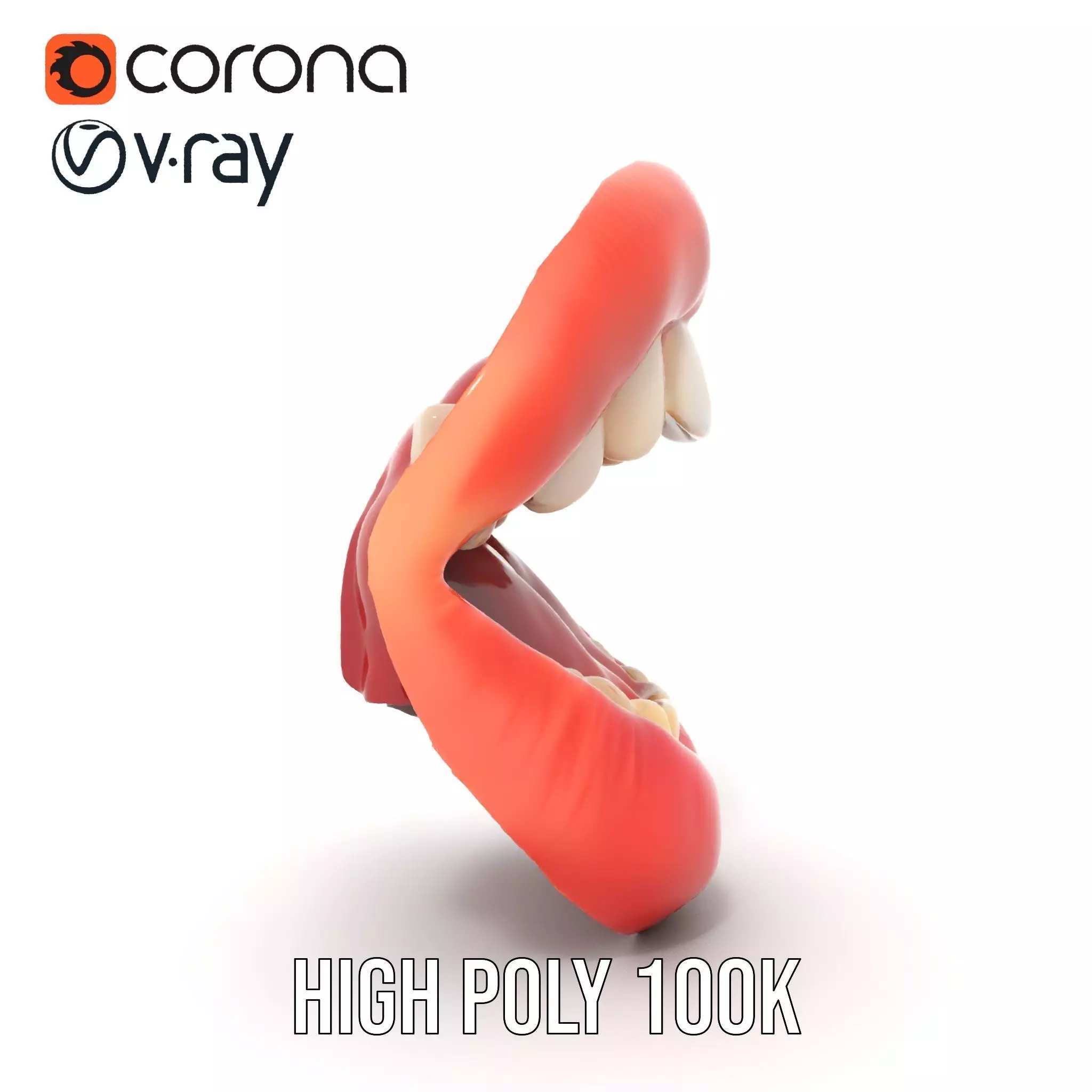 Realistic Human Mouth model pack Low-poly 3D model_31