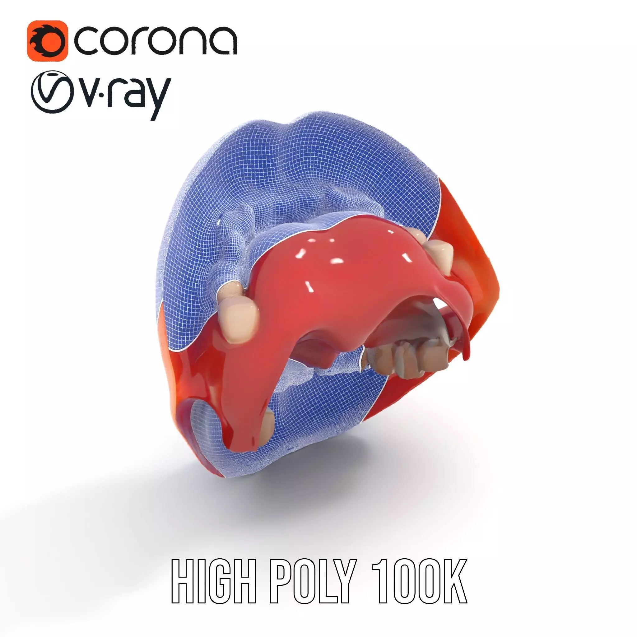 Realistic Human Mouth model pack Low-poly 3D model_33