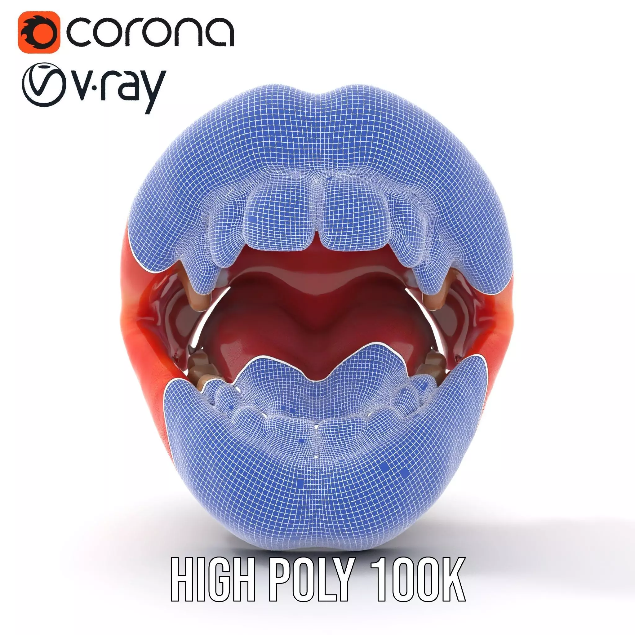 Realistic Human Mouth model pack Low-poly 3D model_28