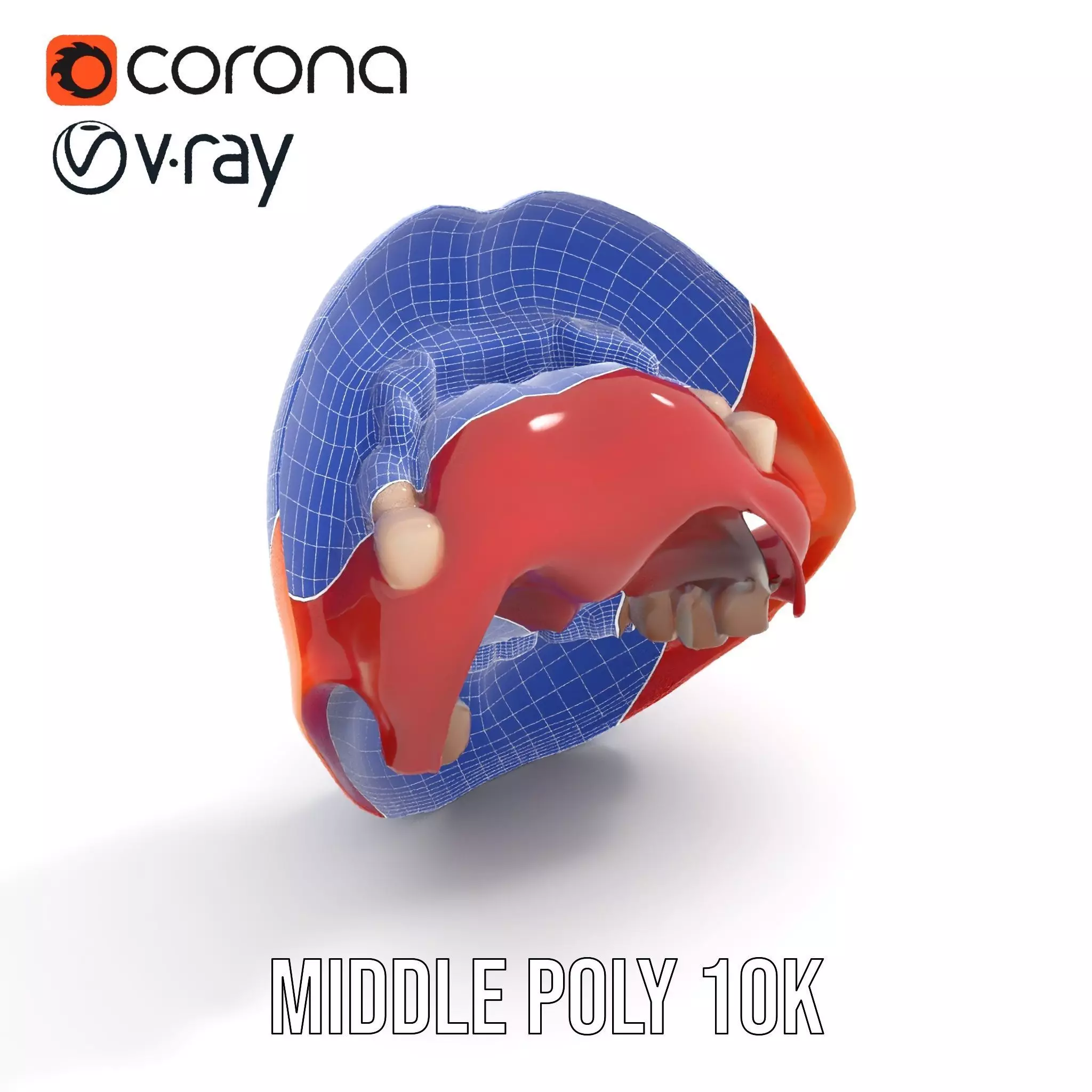 Realistic Human Mouth model pack Low-poly 3D model_21