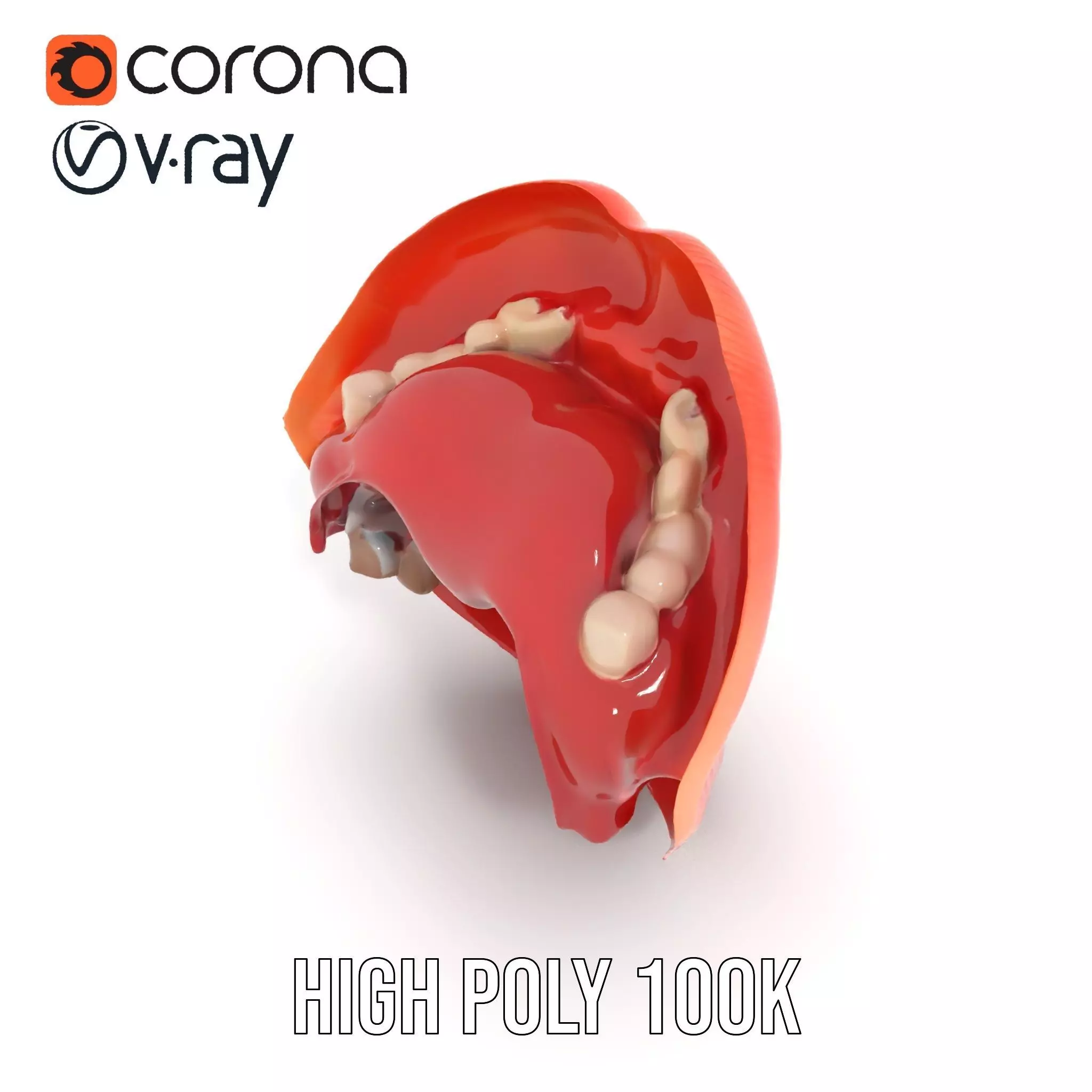 Realistic Human Mouth model pack Low-poly 3D model_17