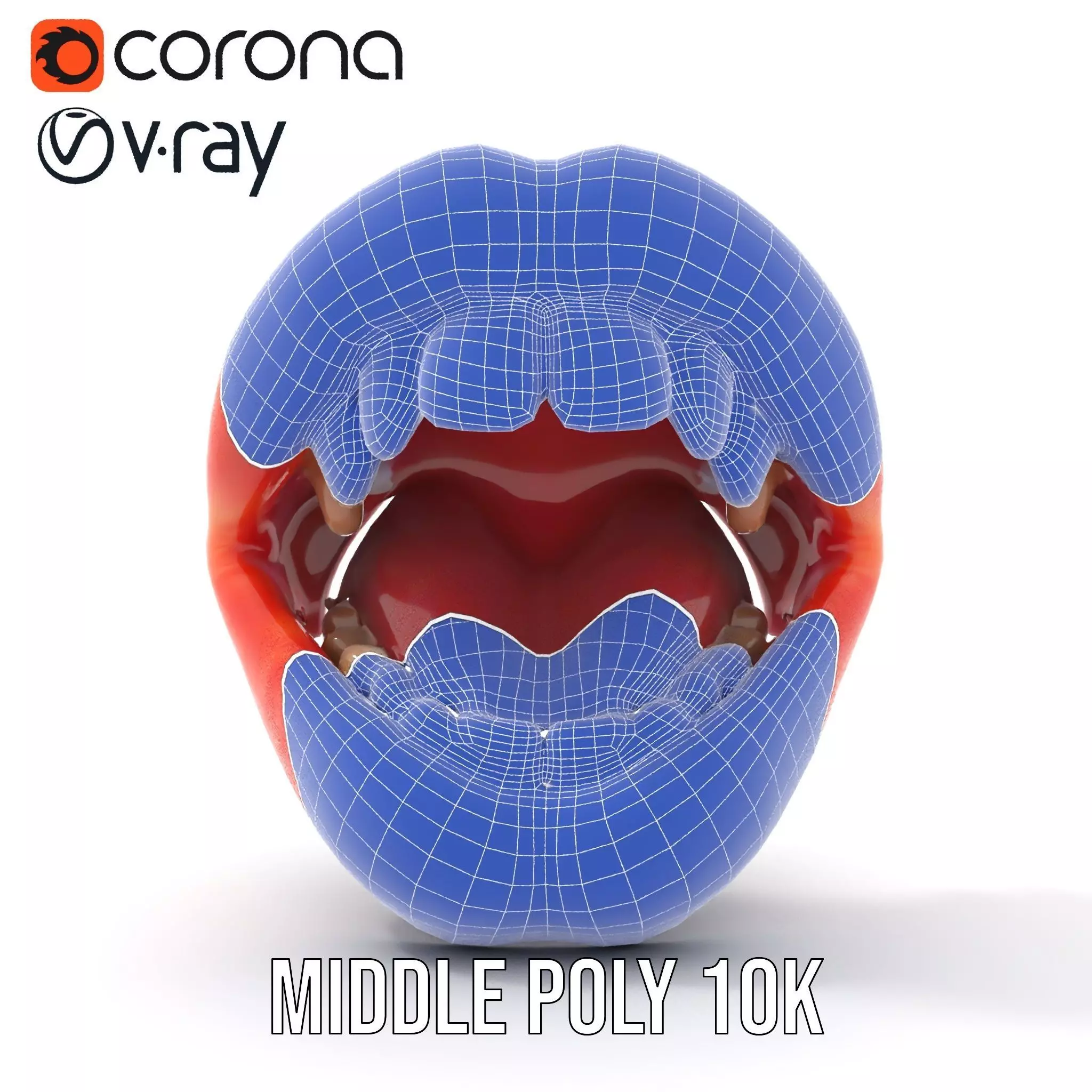 Realistic Human Mouth model pack Low-poly 3D model_26