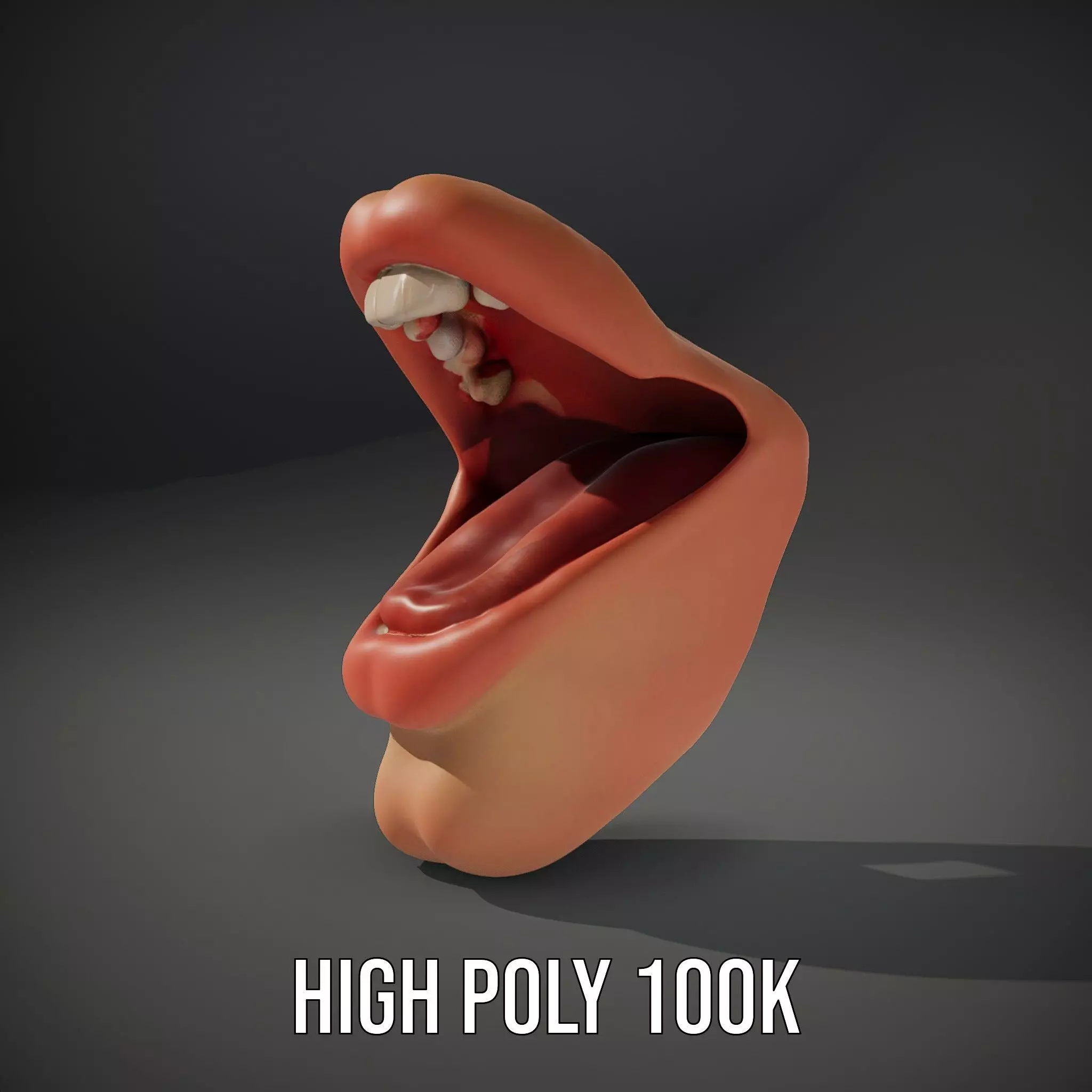 Realistic Human Mouth model pack Low-poly 3D model_10
