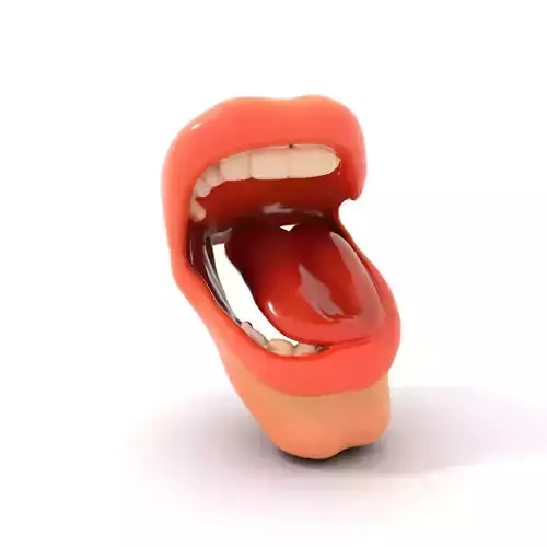 Realistic Human Mouth model pack Low-poly 3D model