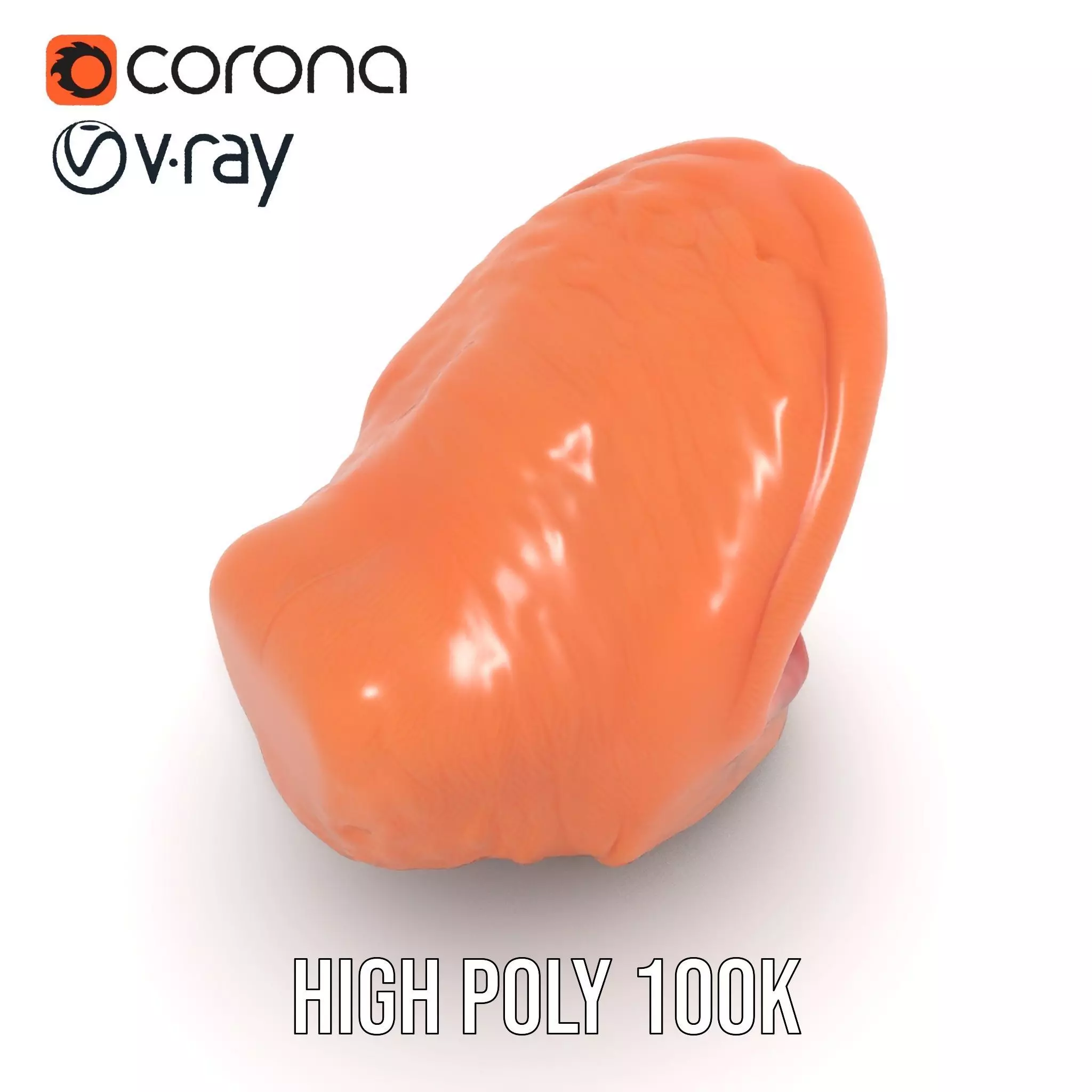 Realistic Human Mouth model pack Low-poly 3D model_18