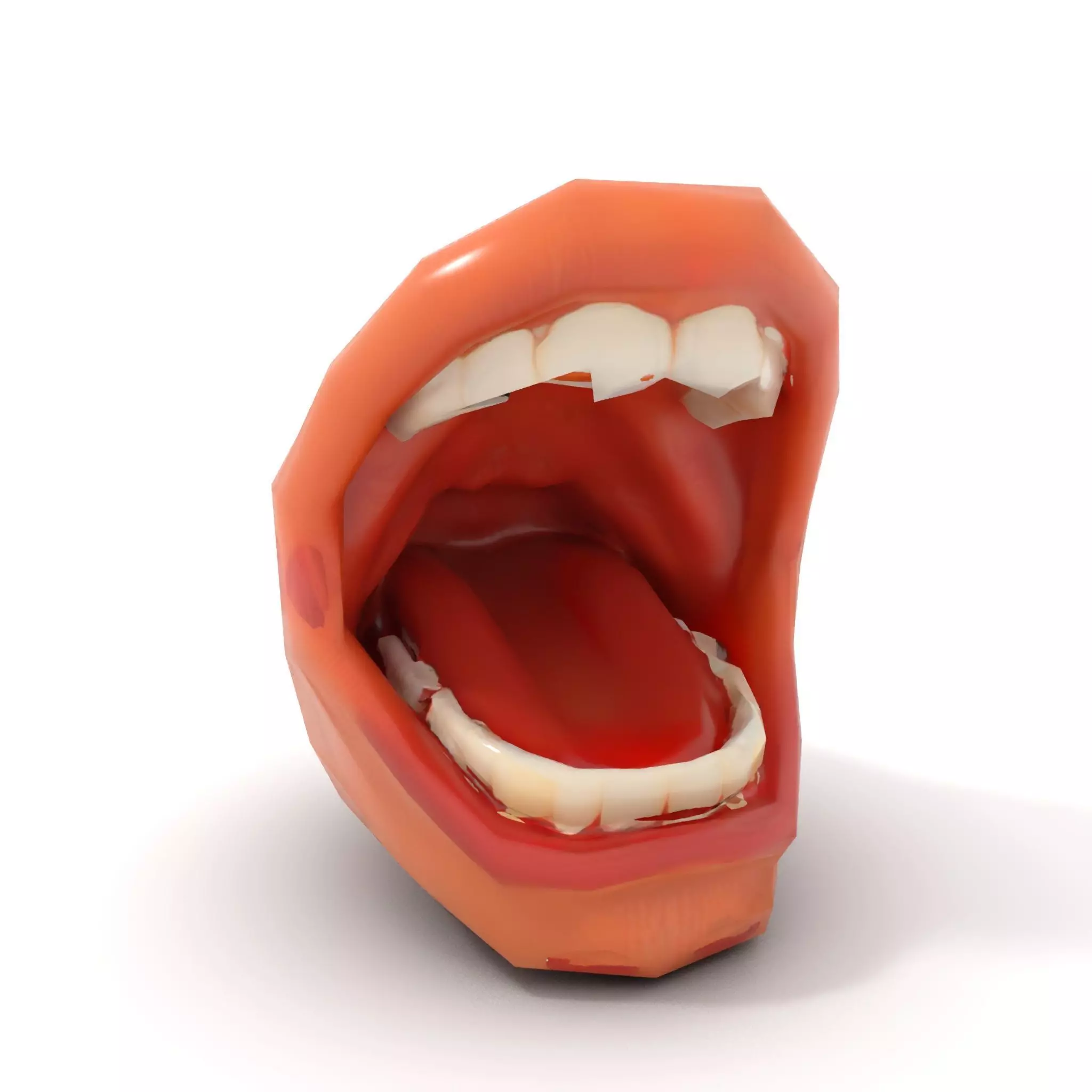 Realistic Human Mouth model pack Low-poly 3D model_14