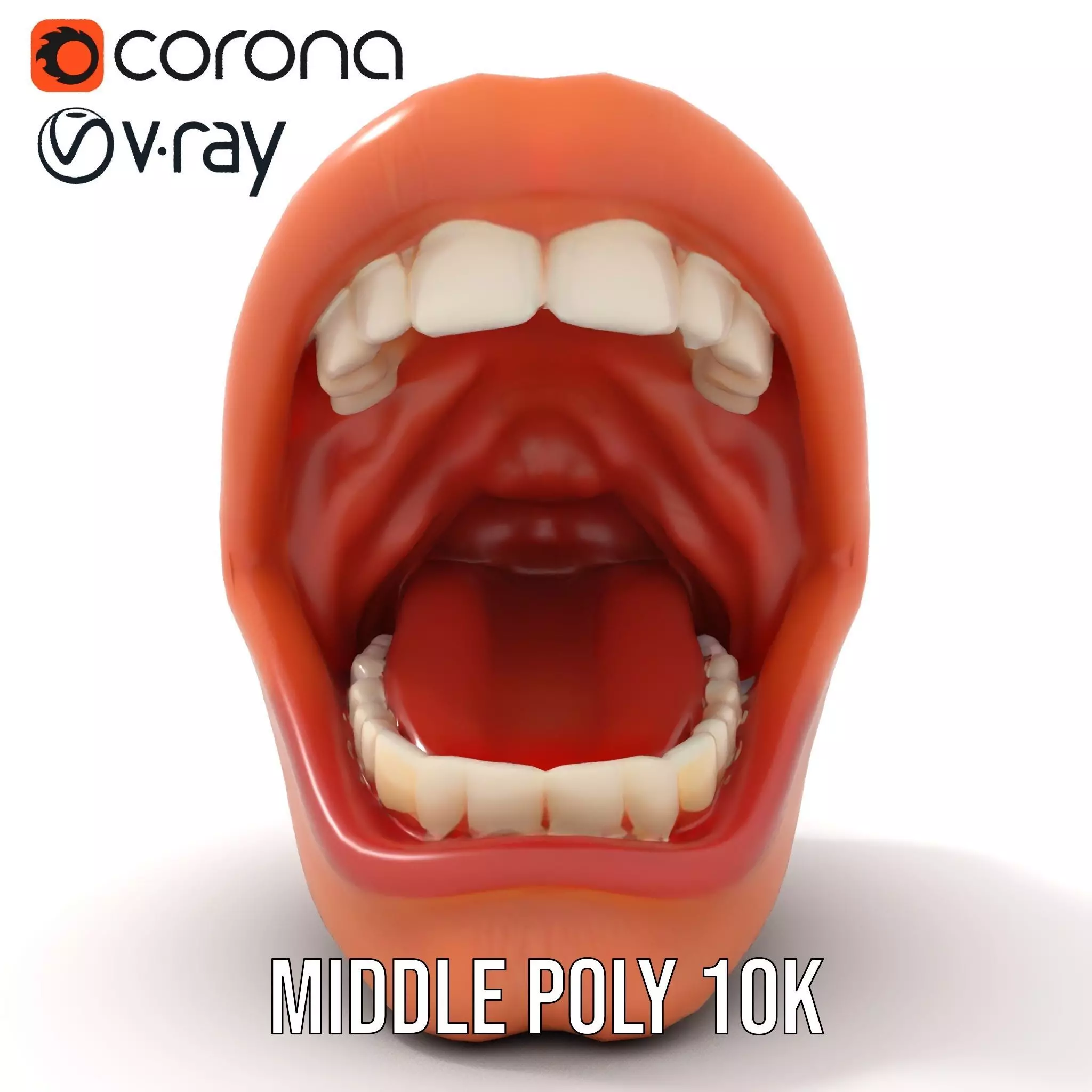 Realistic Human Mouth model pack Low-poly 3D model_16