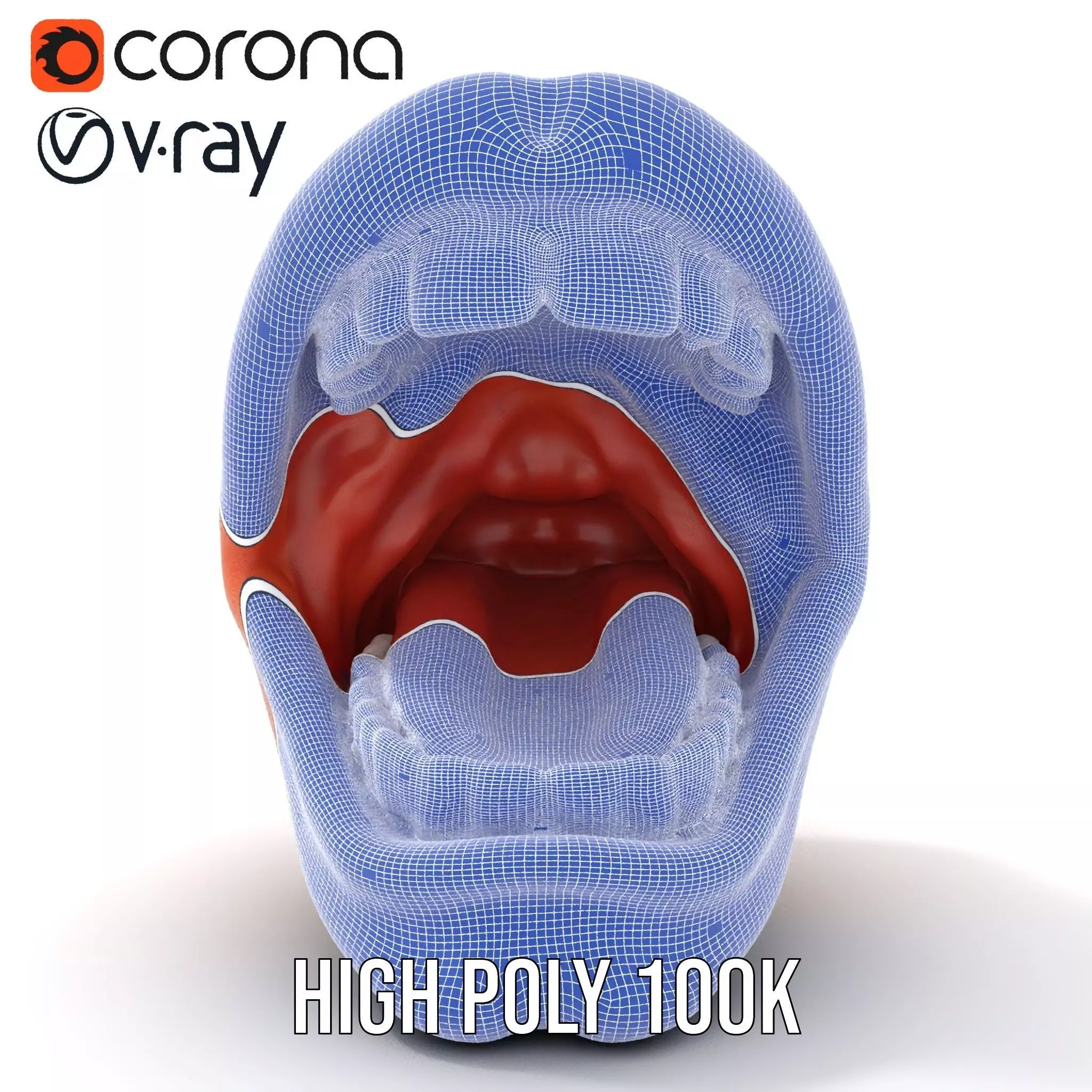 Realistic Human Mouth model pack Low-poly 3D model_33