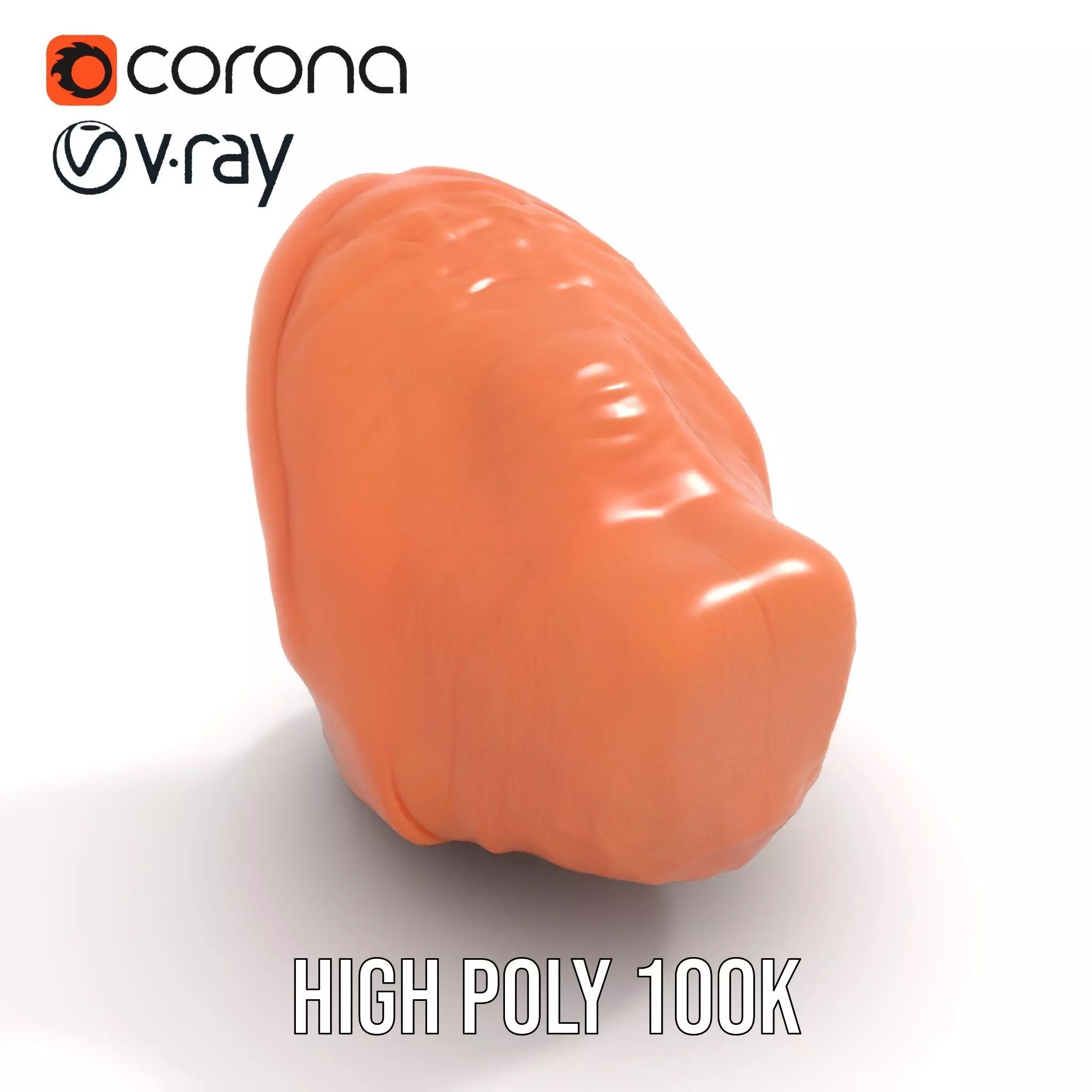 Realistic Human Mouth model pack Low-poly 3D model_26