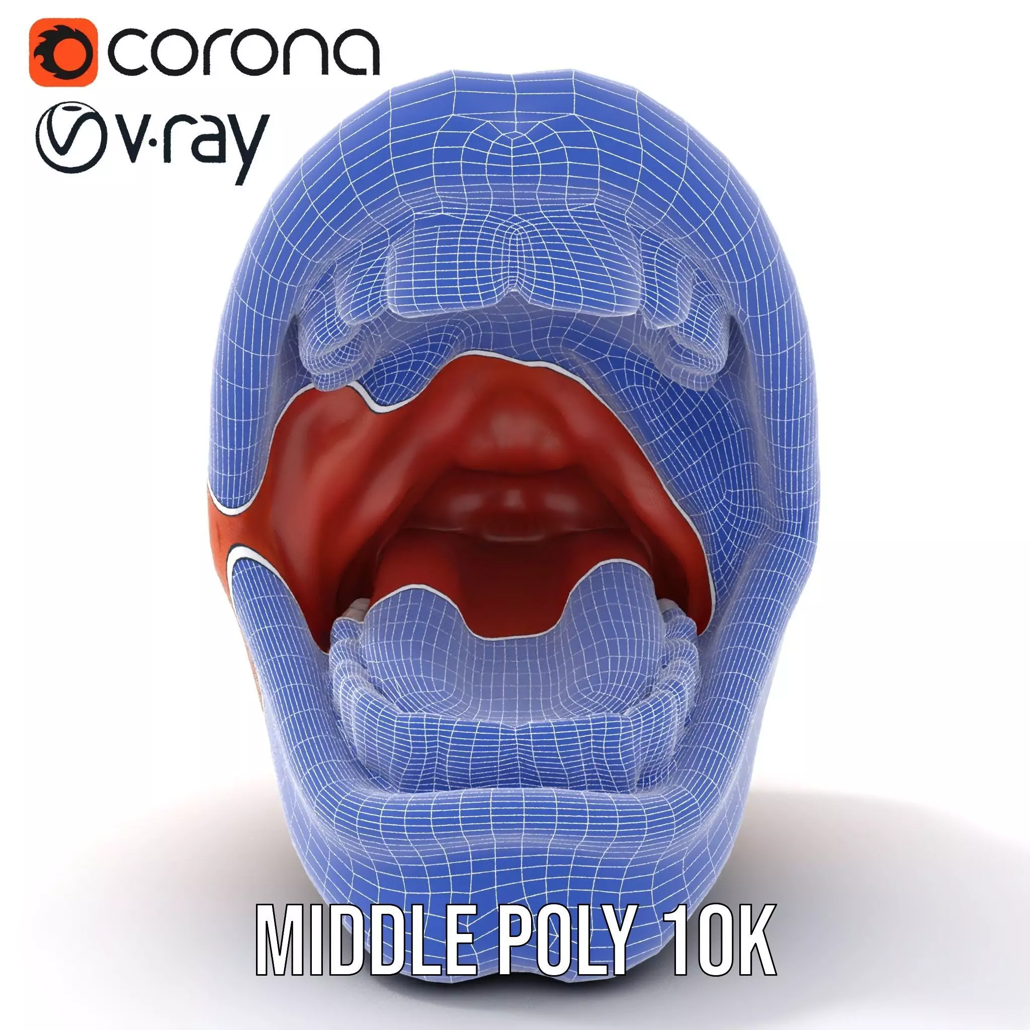 Realistic Human Mouth model pack Low-poly 3D model_27