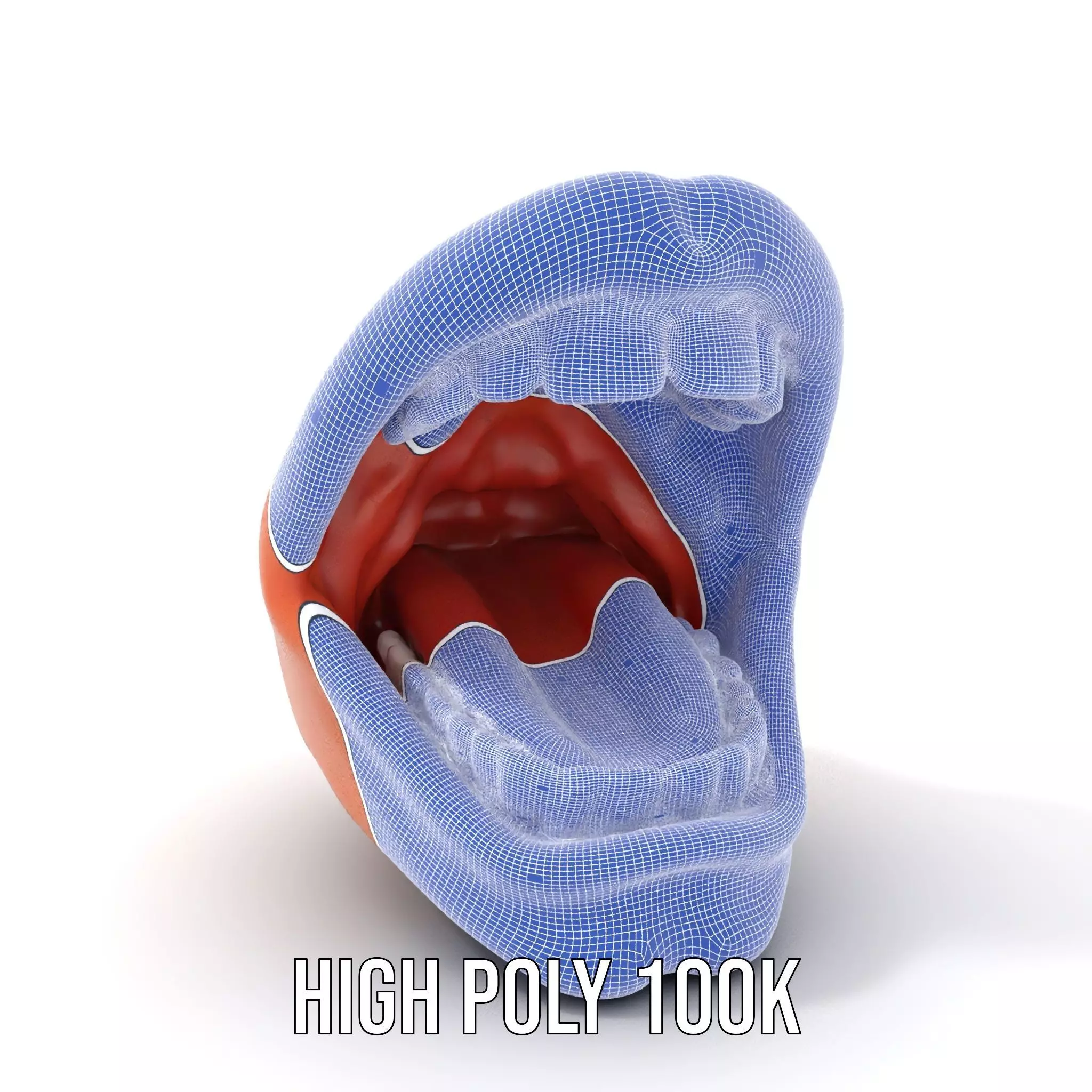 Realistic Human Mouth model pack Low-poly 3D model_4