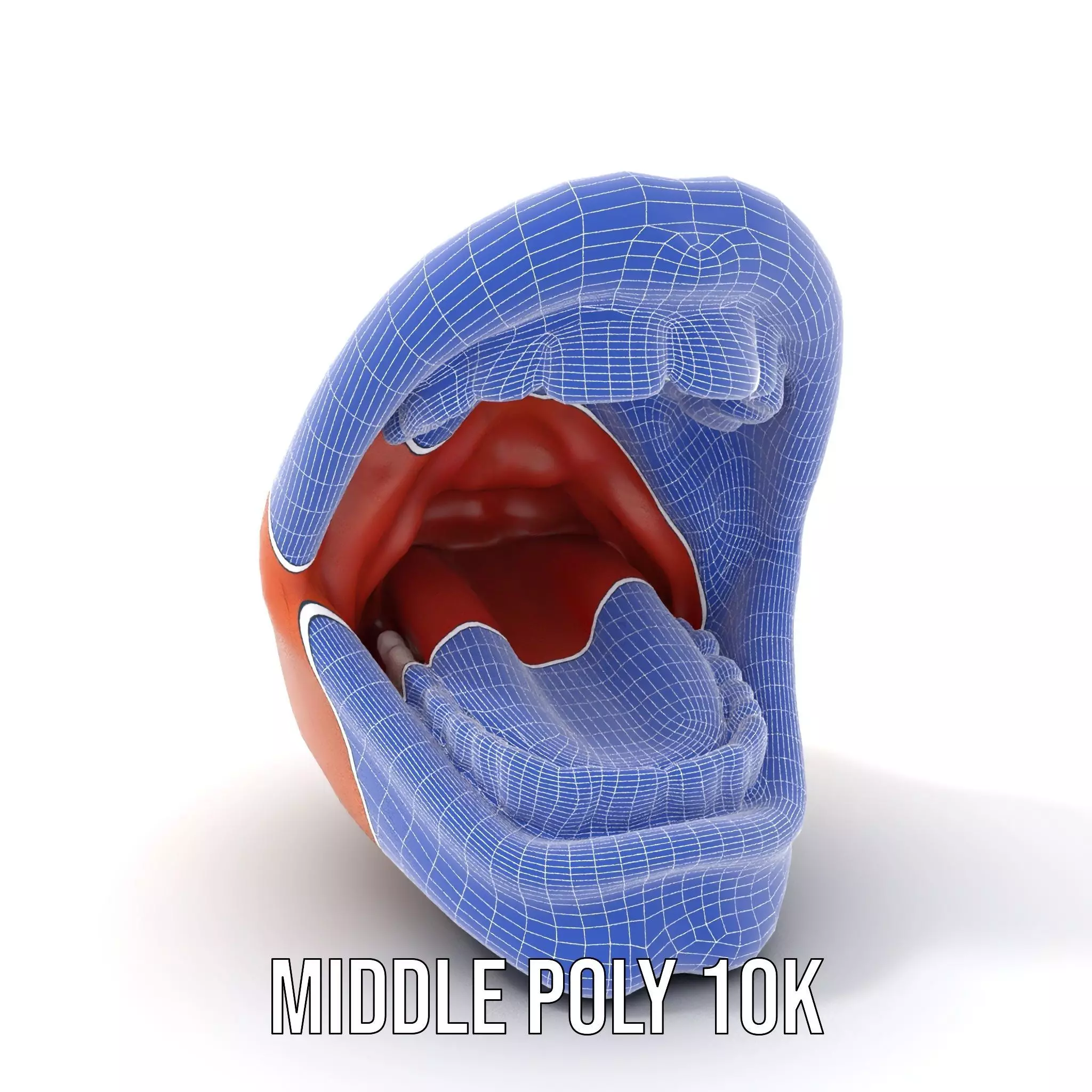 Realistic Human Mouth model pack Low-poly 3D model_21