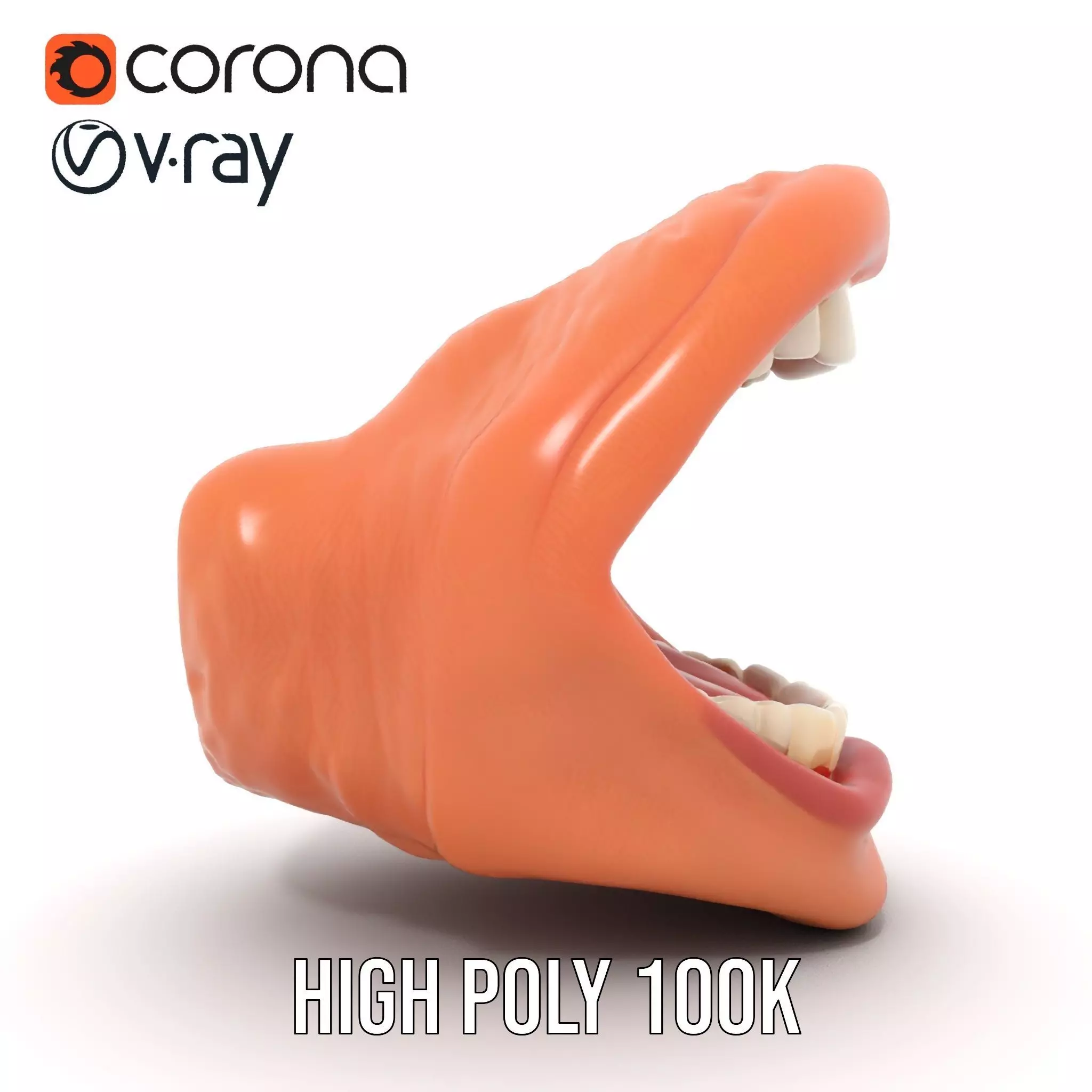 Realistic Human Mouth model pack Low-poly 3D model_15