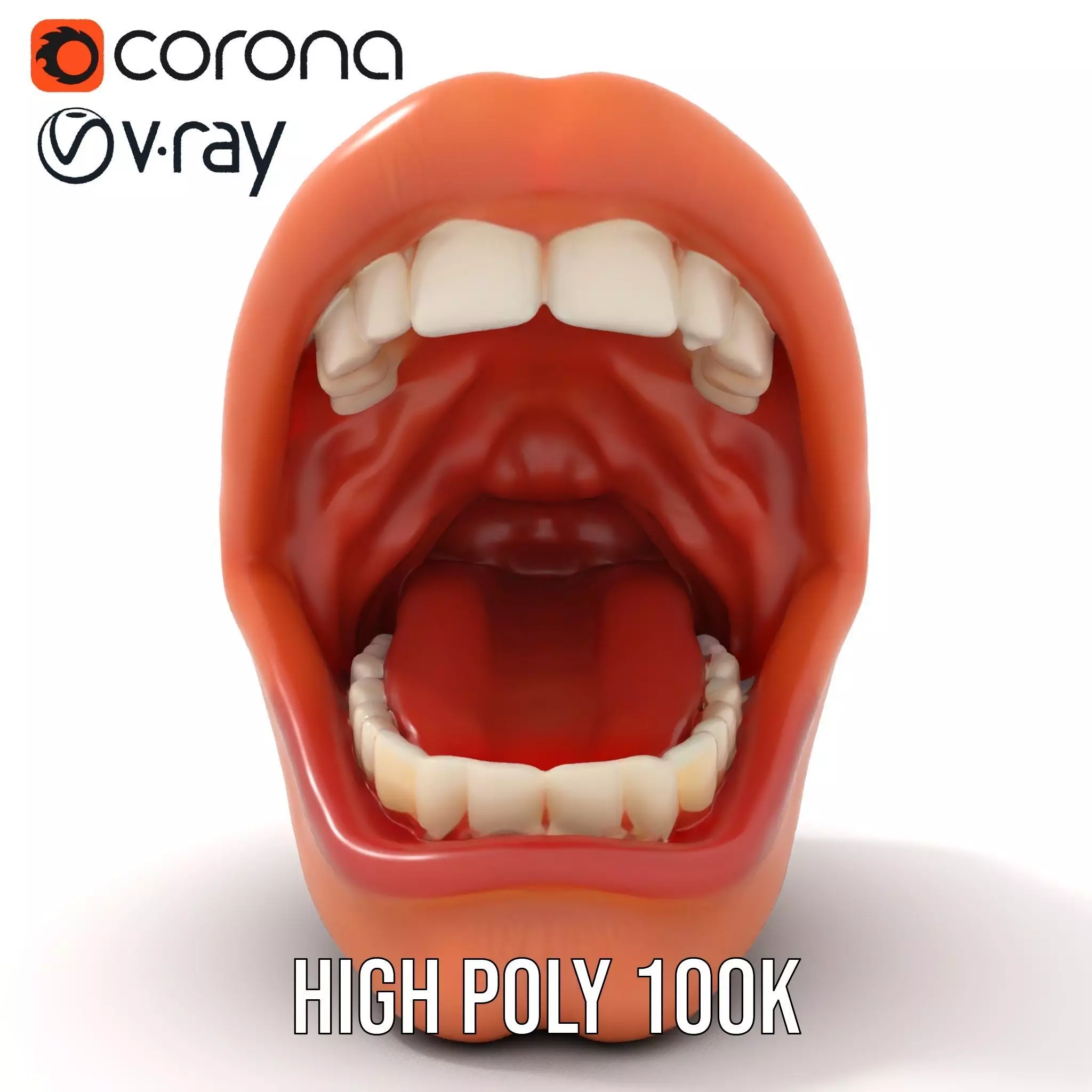 Realistic Human Mouth model pack Low-poly 3D model_23