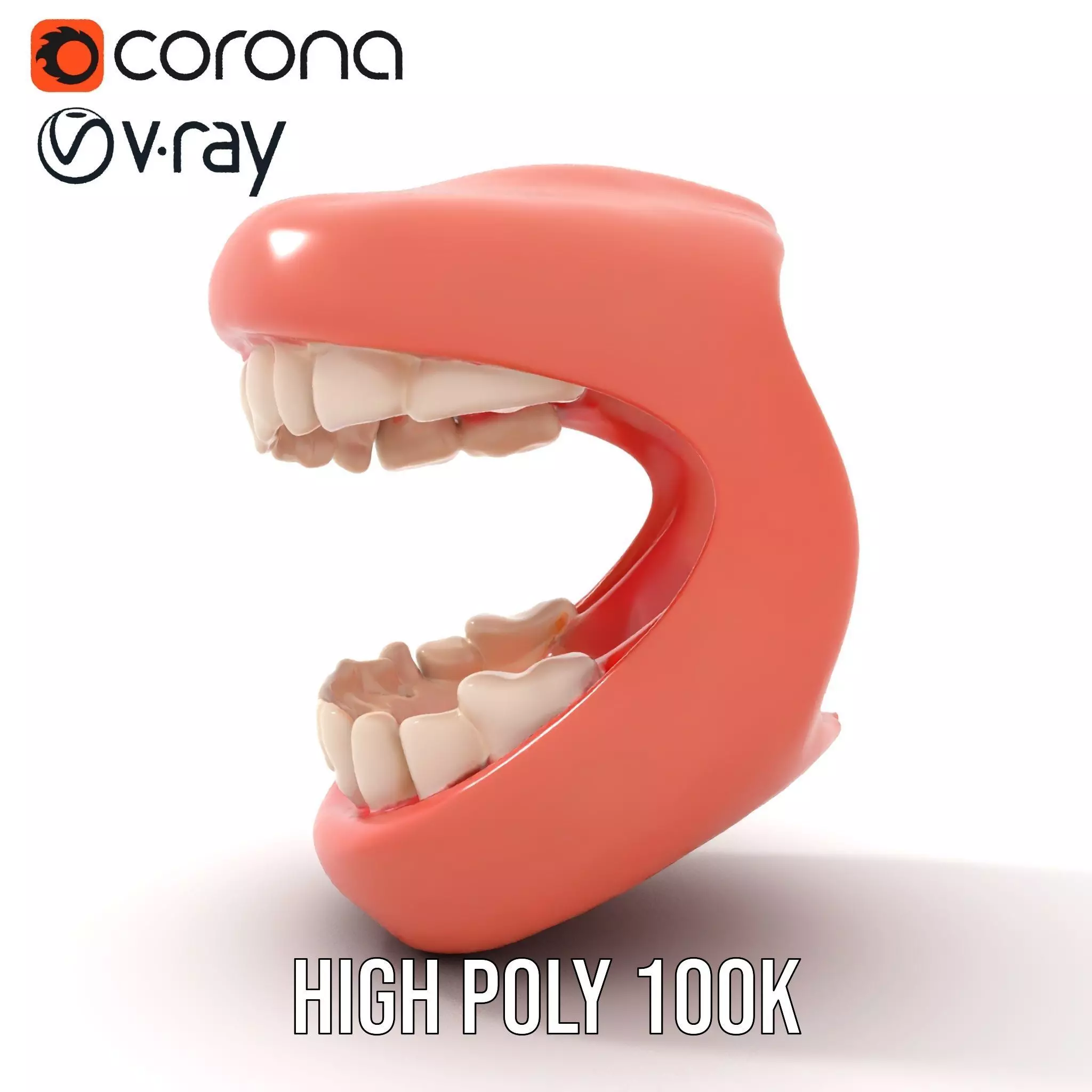 Realistic Teeth and Gums model pack Low-poly 3D model_22
