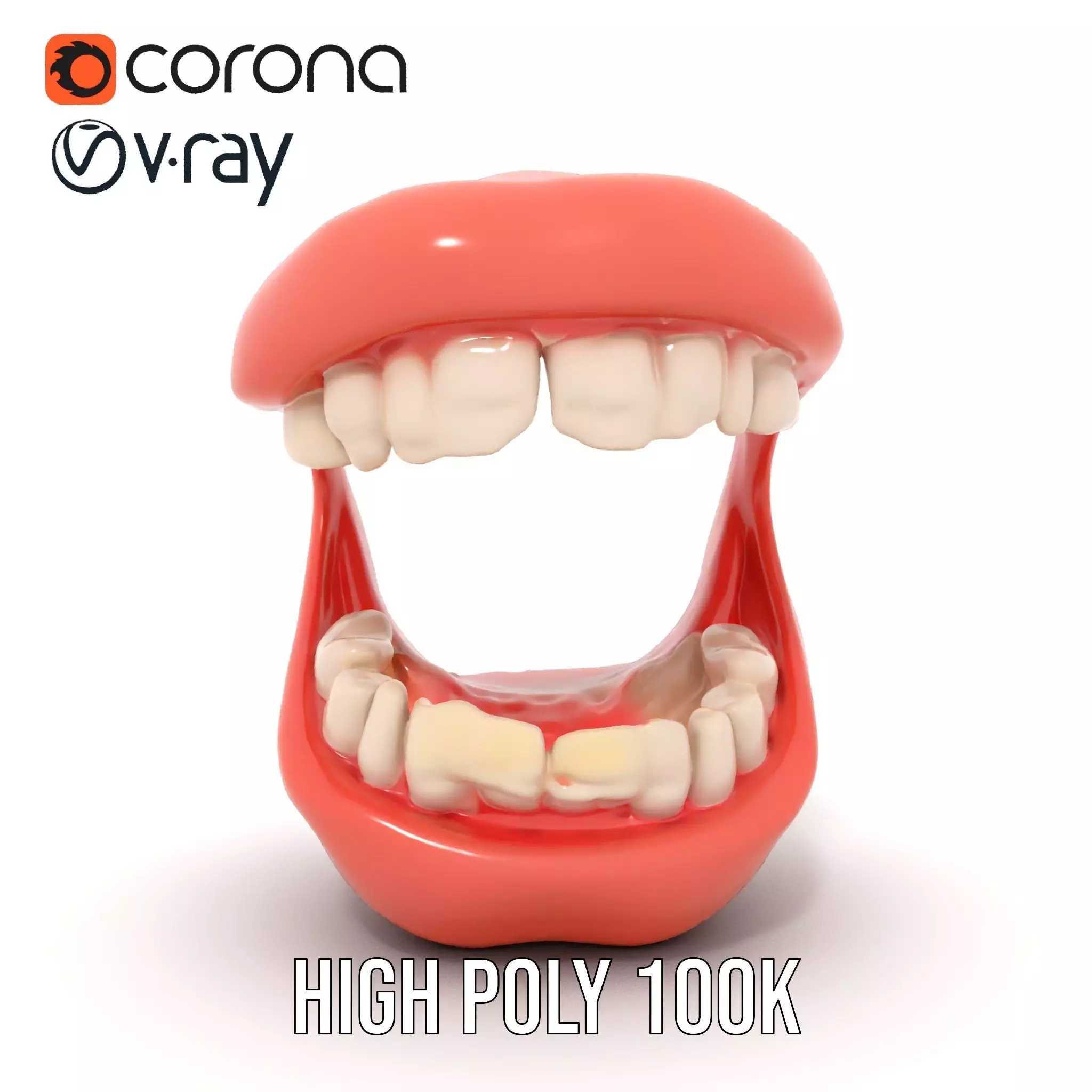 Realistic Teeth and Gums model pack Low-poly 3D model_28