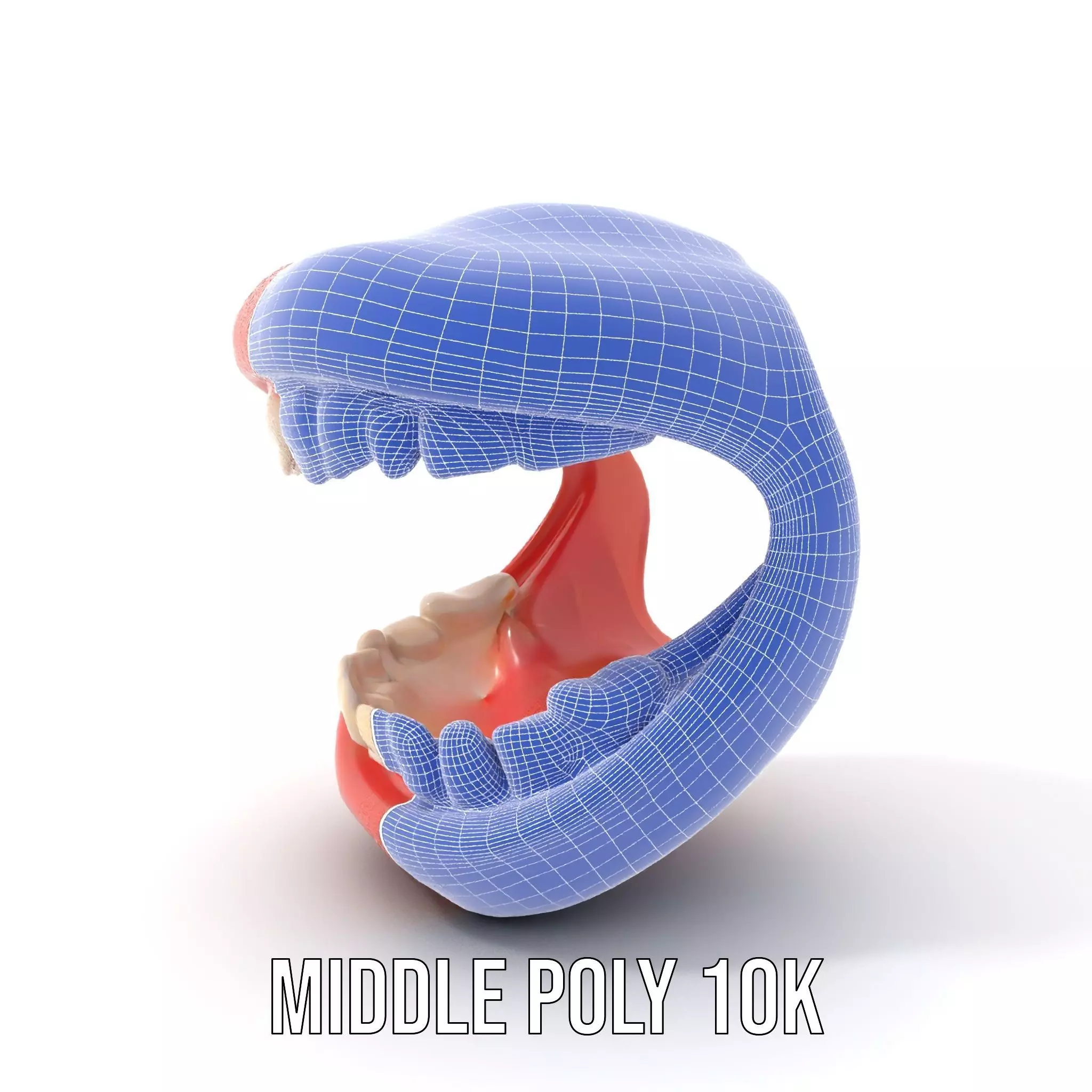 Realistic Teeth and Gums model pack Low-poly 3D model_17