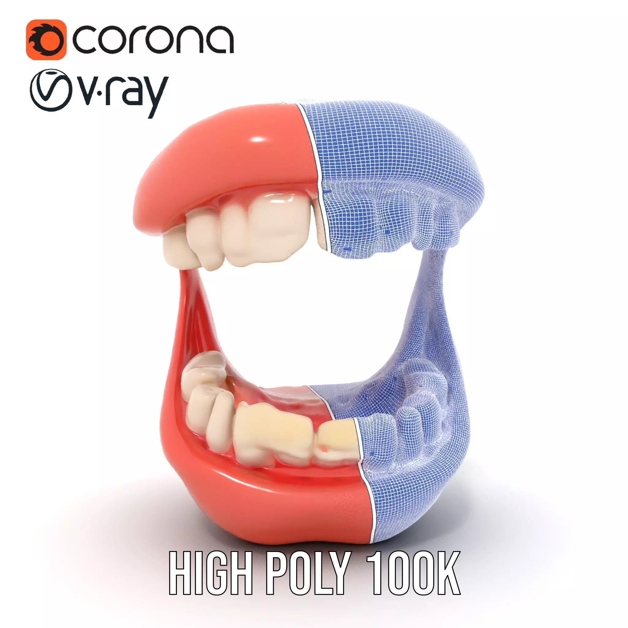 Realistic Teeth and Gums model pack Low-poly 3D model_34