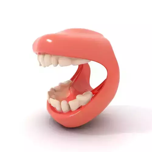Realistic Teeth and Gums model pack