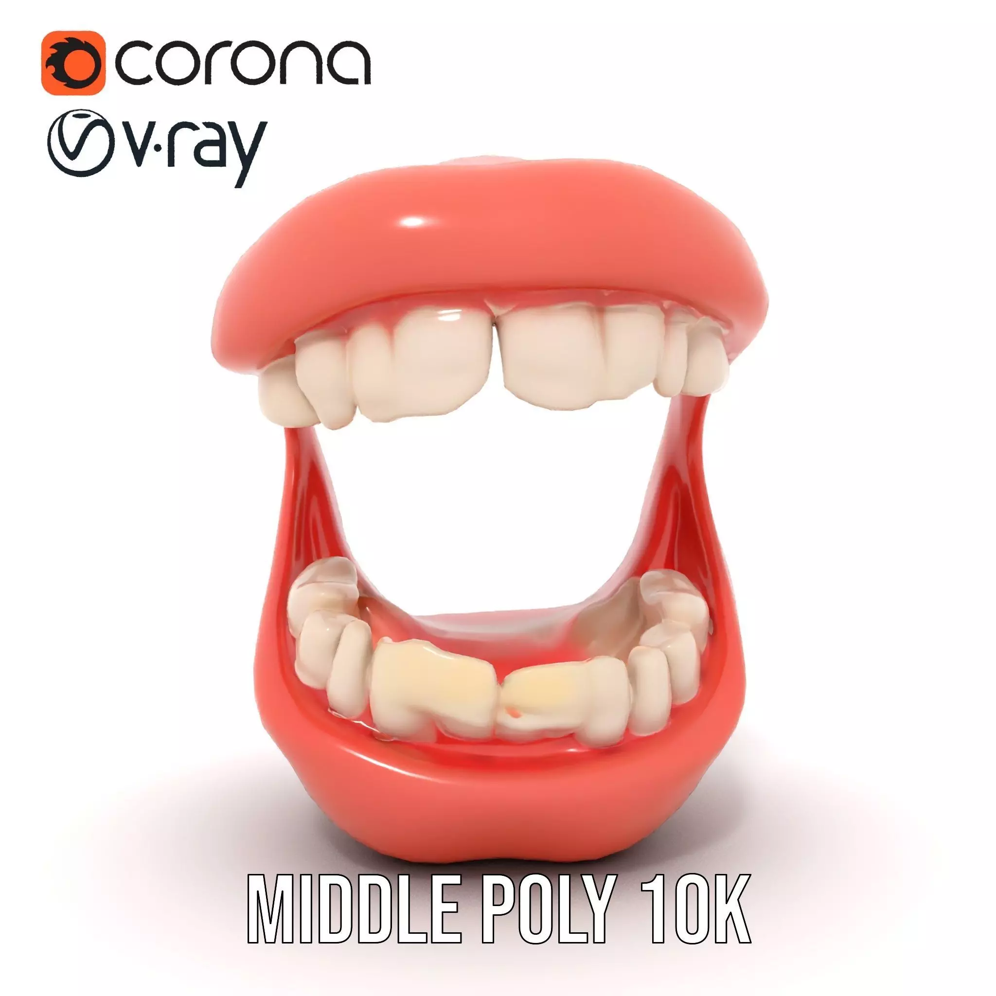 Realistic Teeth and Gums model pack Low-poly 3D model_23