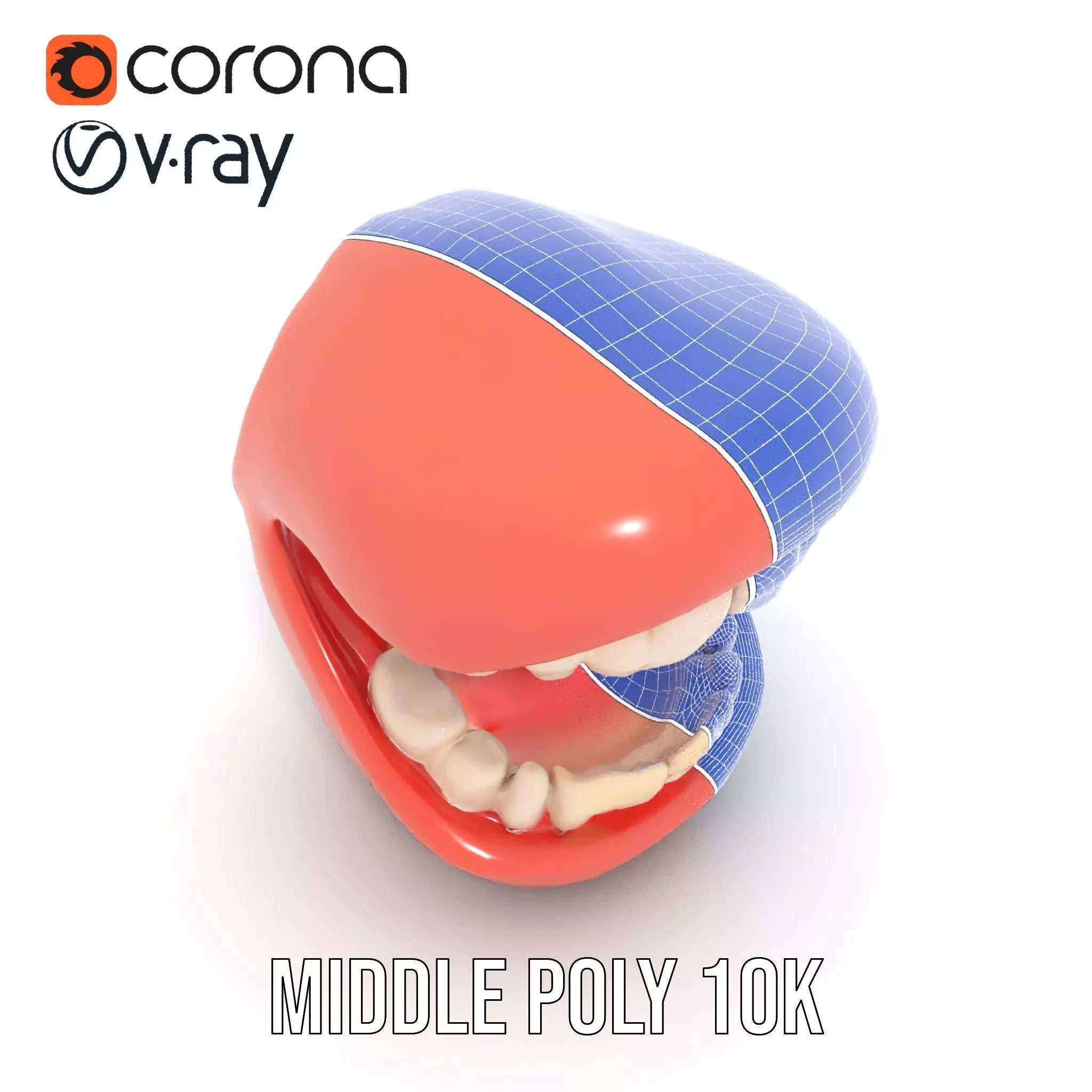 Realistic Teeth and Gums model pack Low-poly 3D model_13