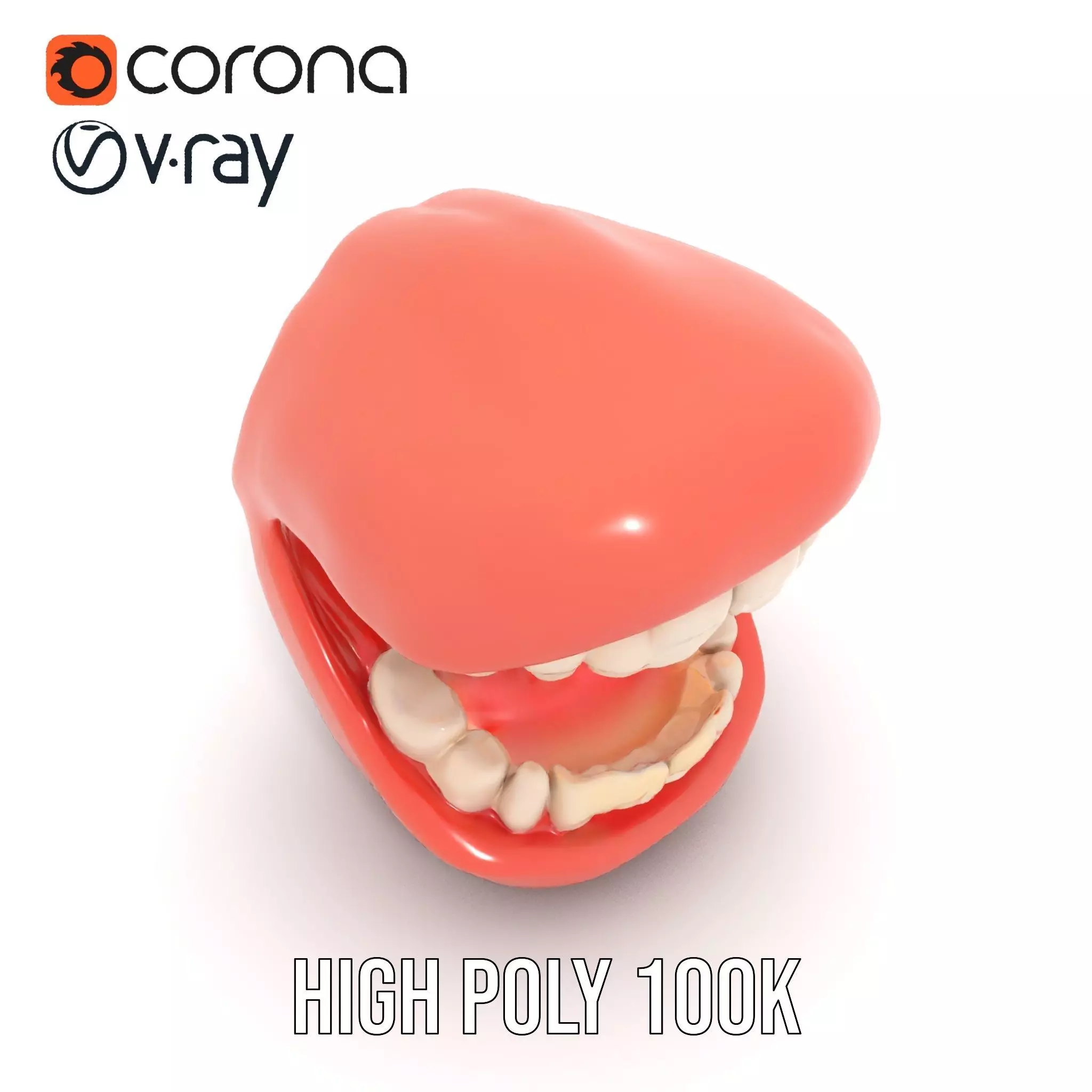 Realistic Teeth and Gums model pack Low-poly 3D model_19
