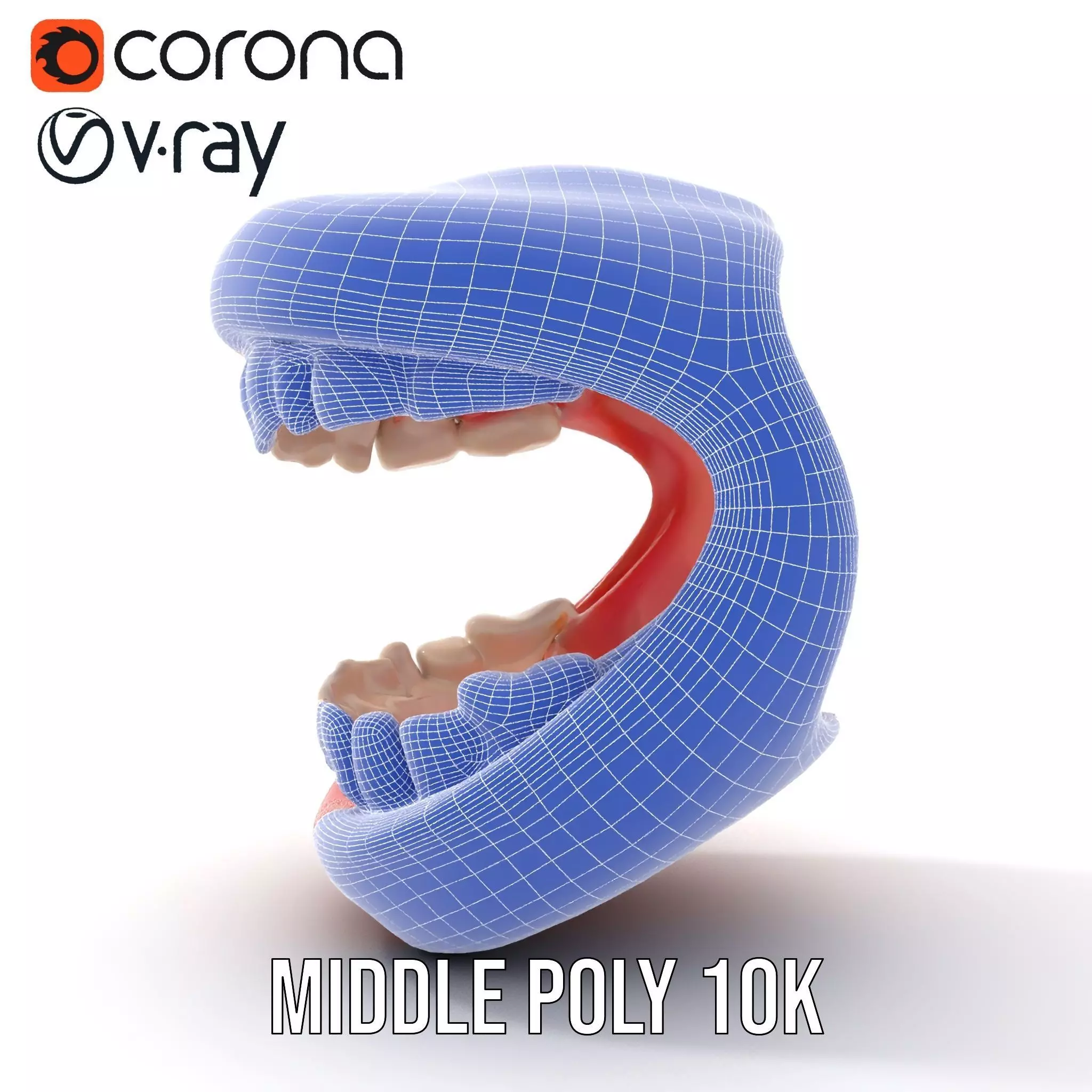 Realistic Teeth and Gums model pack Low-poly 3D model_15