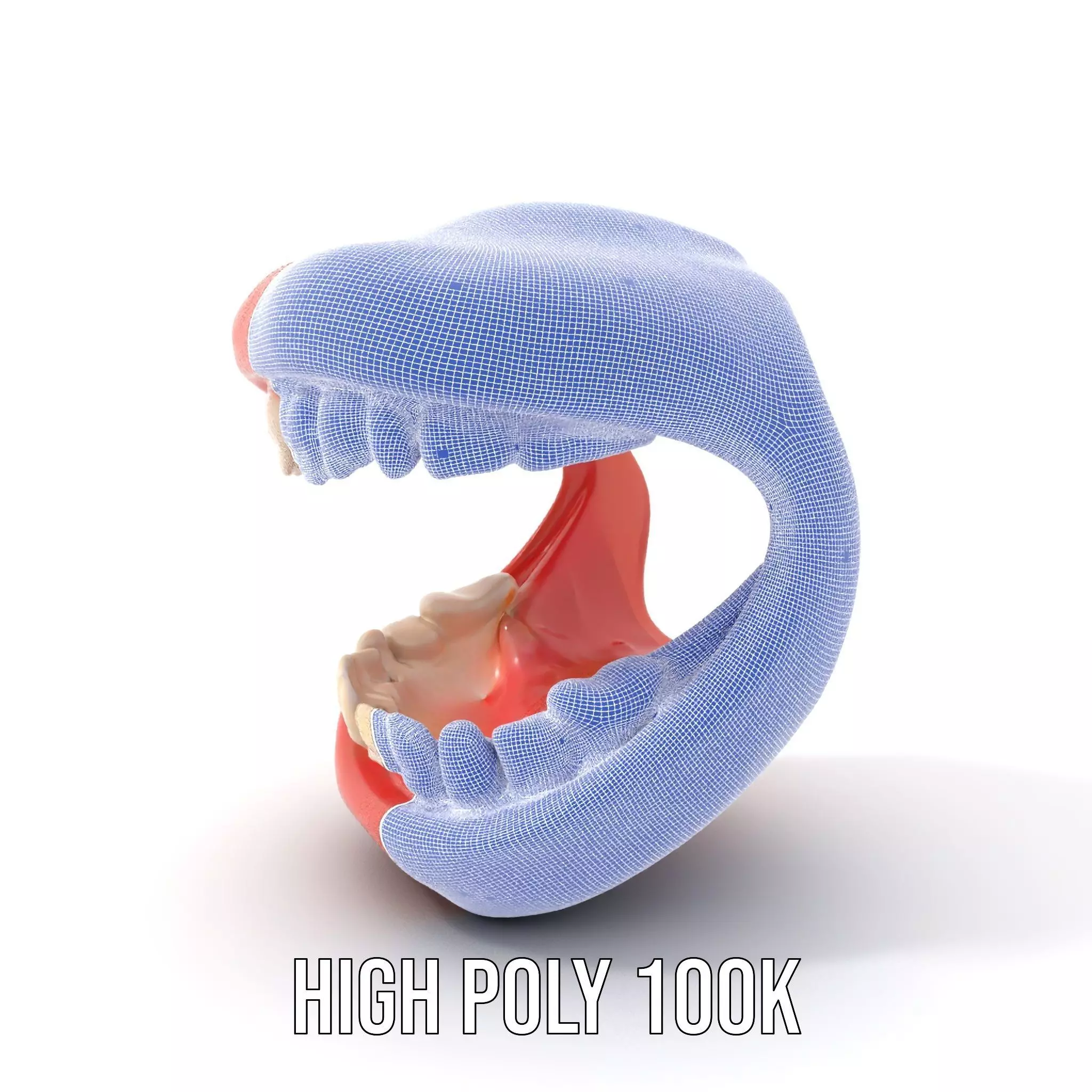 Realistic Teeth and Gums model pack Low-poly 3D model_4