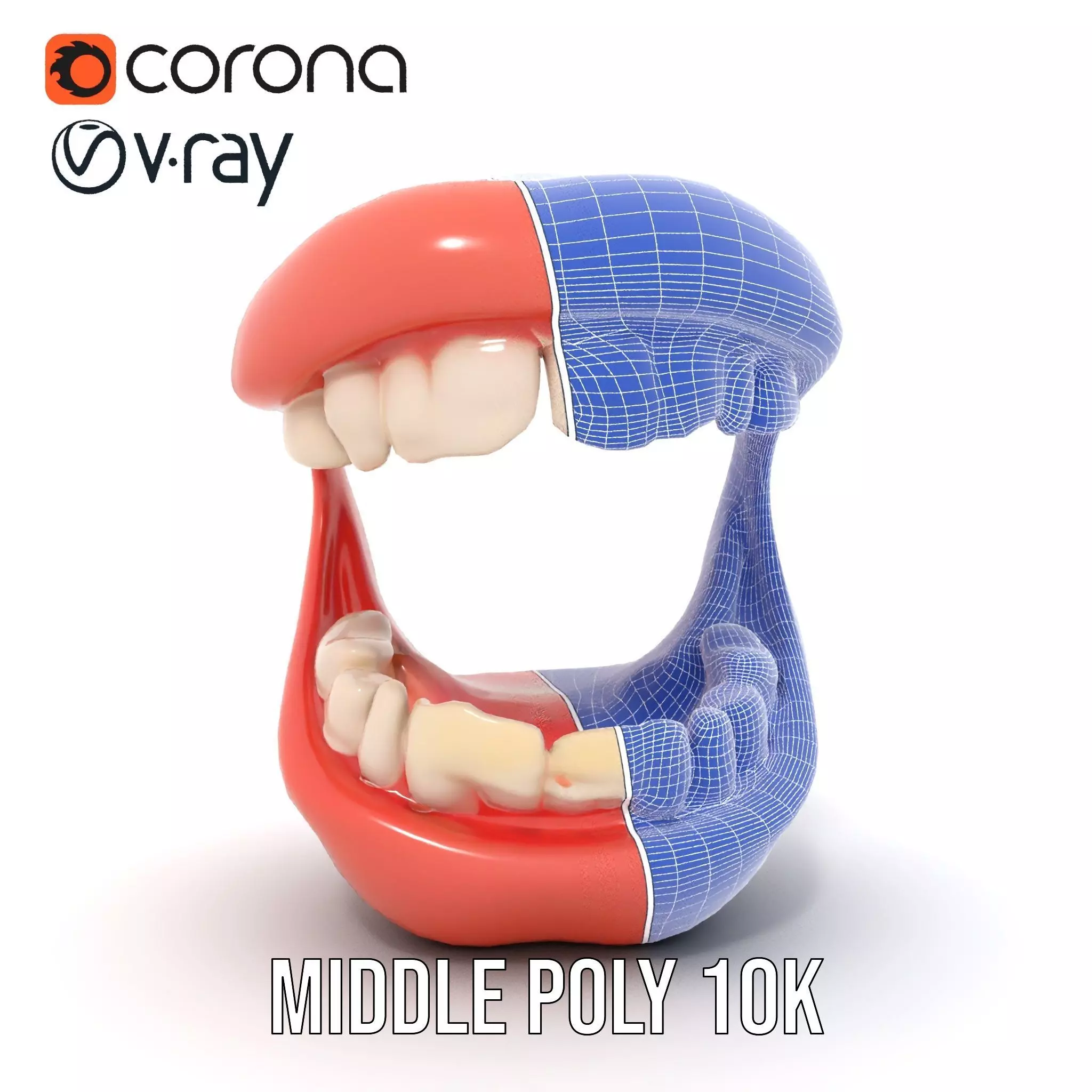 Realistic Teeth and Gums model pack Low-poly 3D model_29