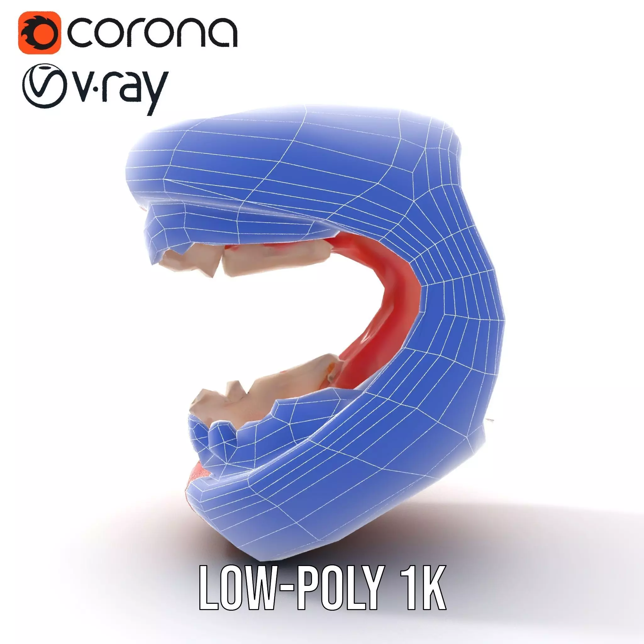 Realistic Teeth and Gums model pack Low-poly 3D model_27