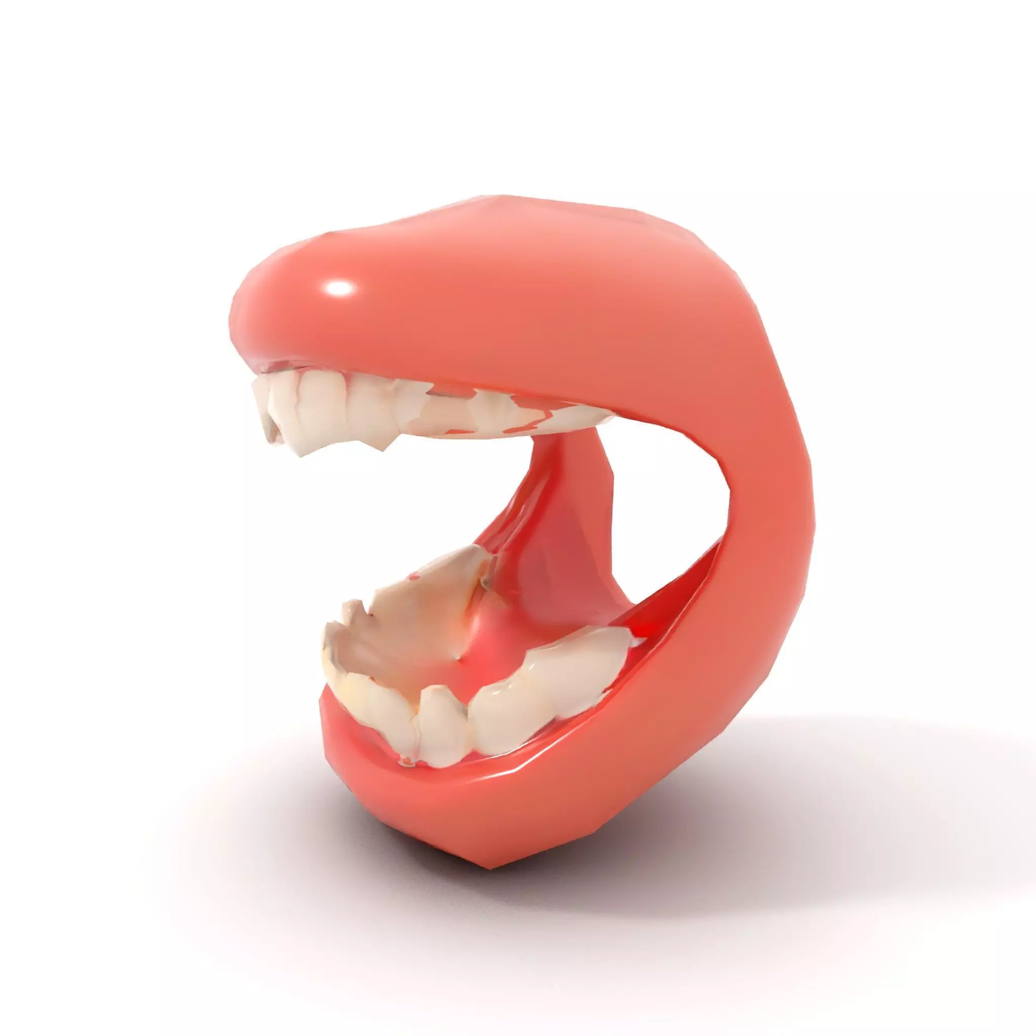 Realistic Teeth and Gums model pack Low-poly 3D model_14