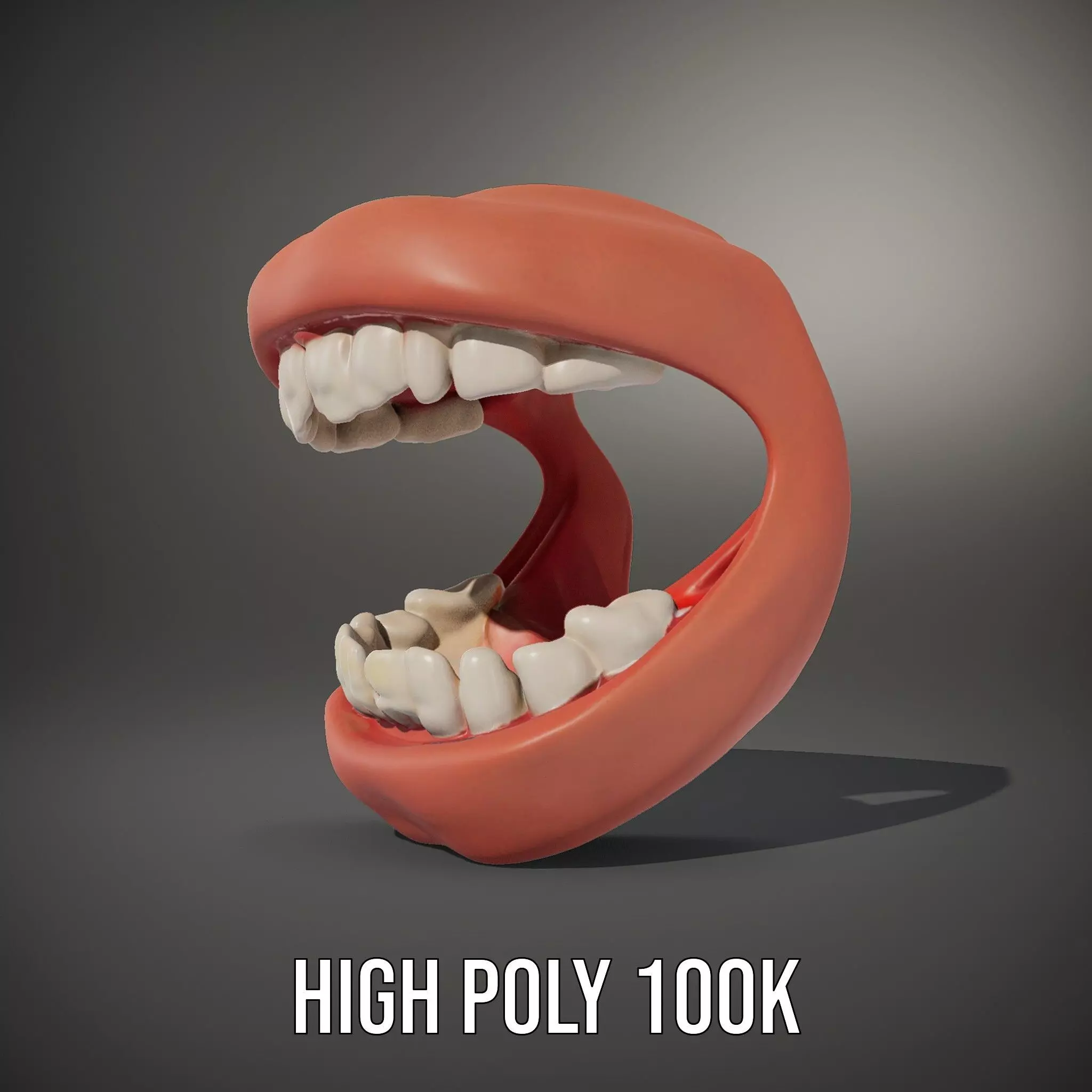 Realistic Teeth and Gums model pack Low-poly 3D model_10