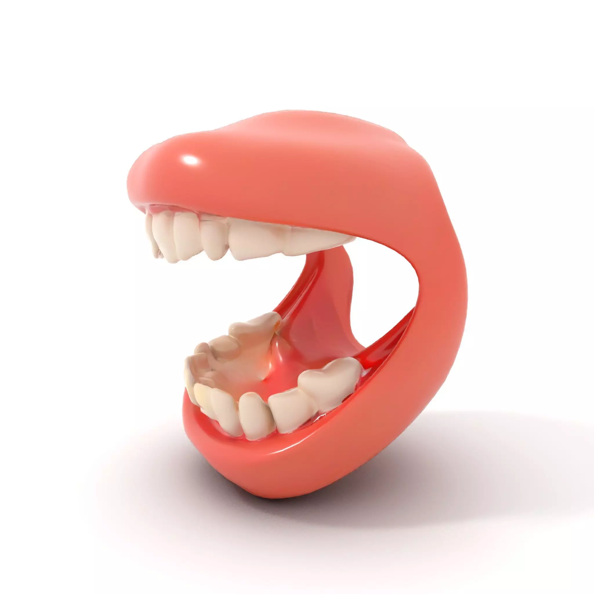 Realistic Teeth and Gums model pack Low-poly 3D model_6