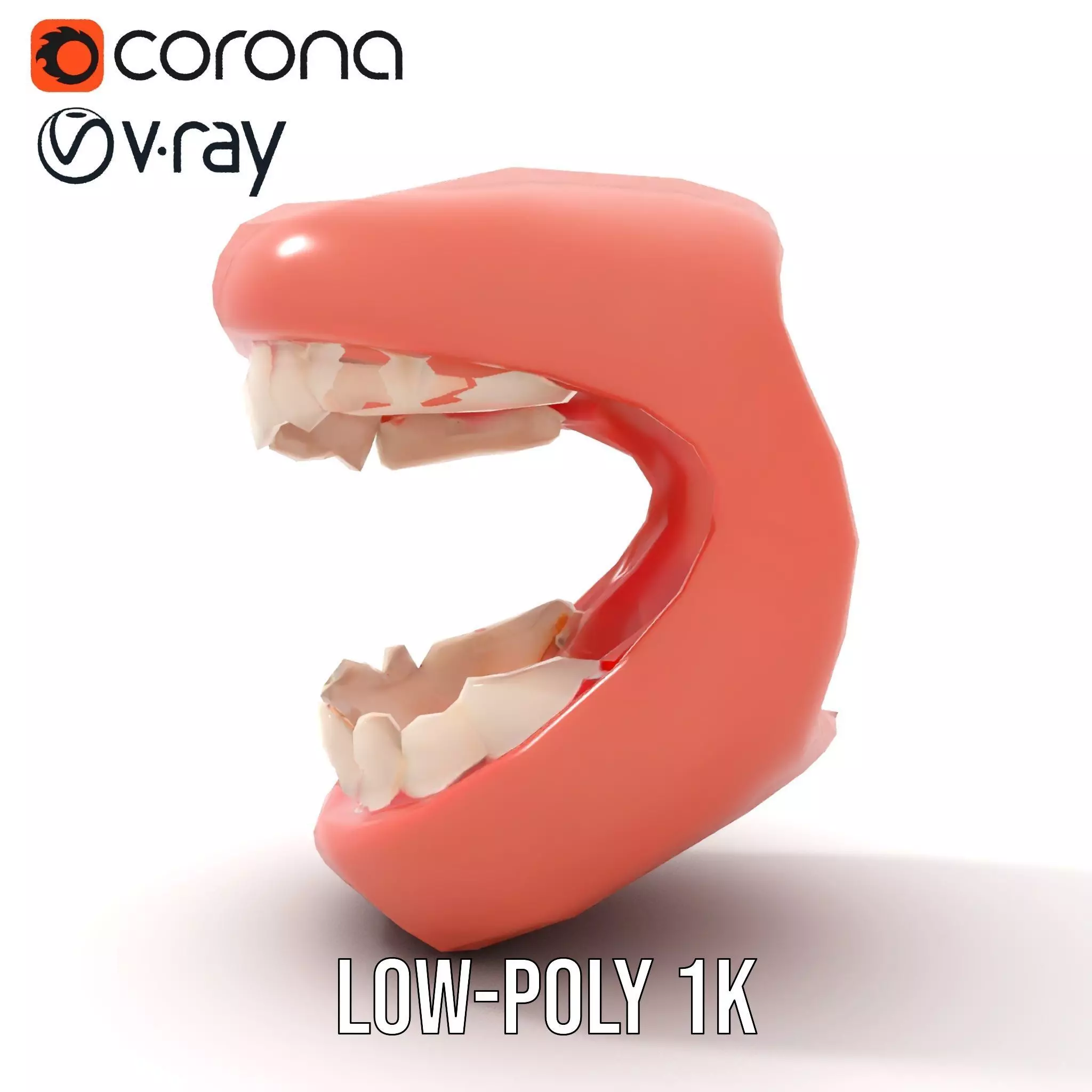 Realistic Teeth and Gums model pack Low-poly 3D model_18
