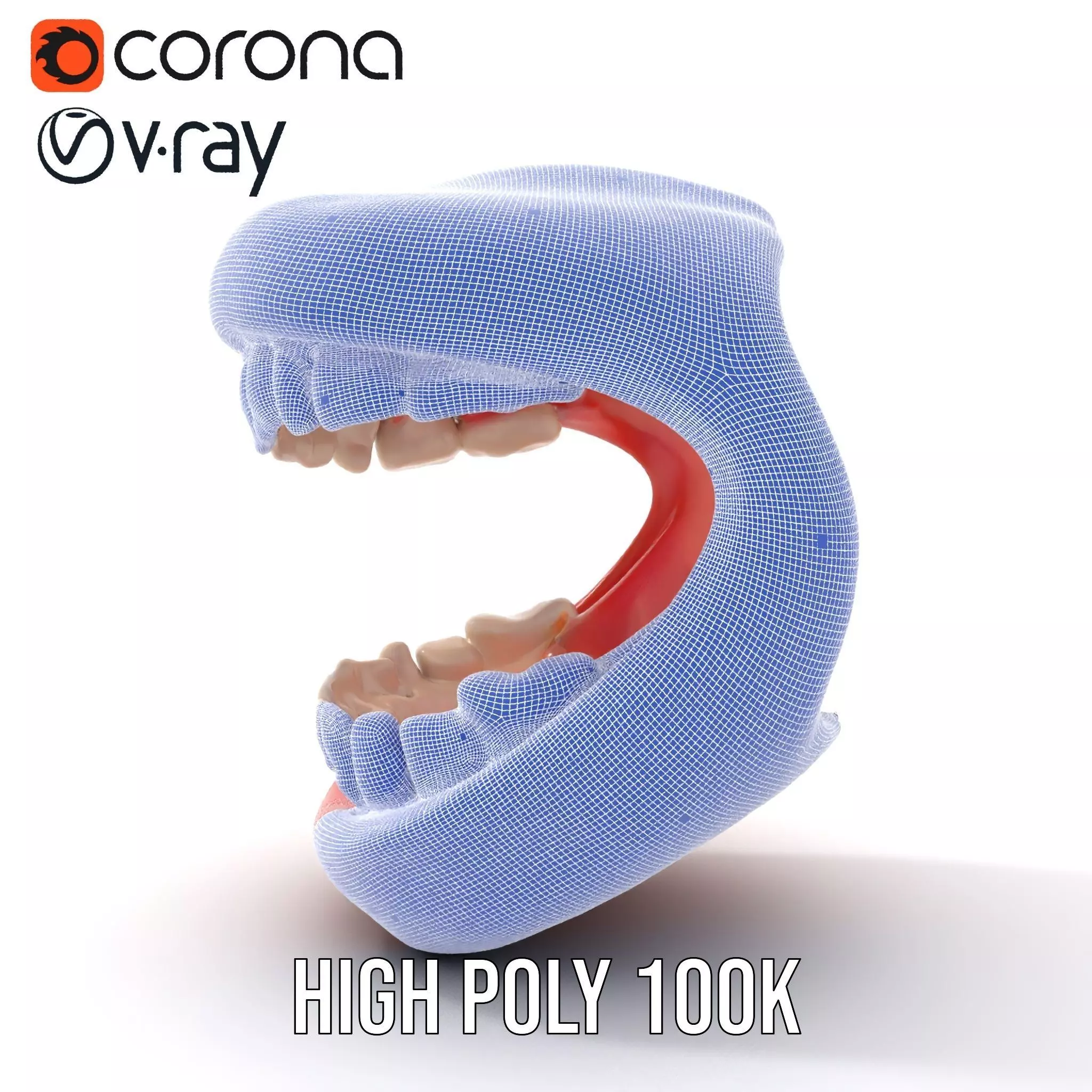 Realistic Teeth and Gums model pack Low-poly 3D model_32